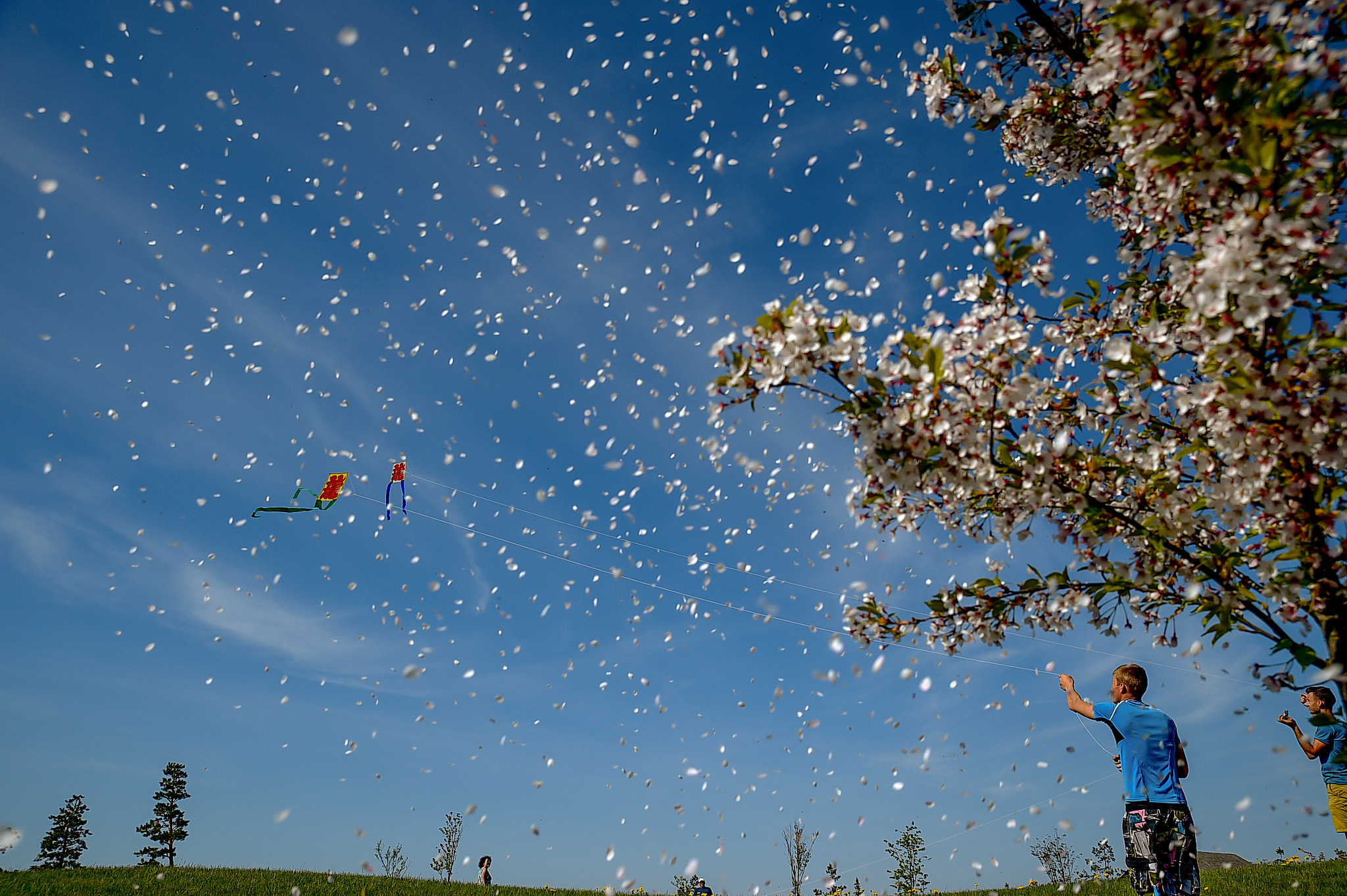 Nikon D4S sample photo. Japanese garden photography