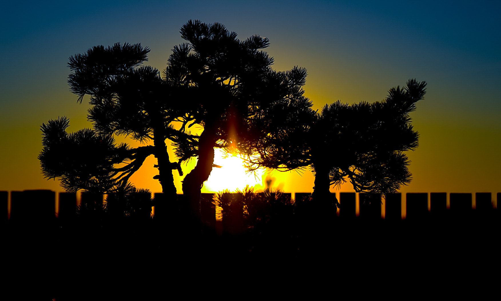 Nikon D4S sample photo. Japanese garden photography
