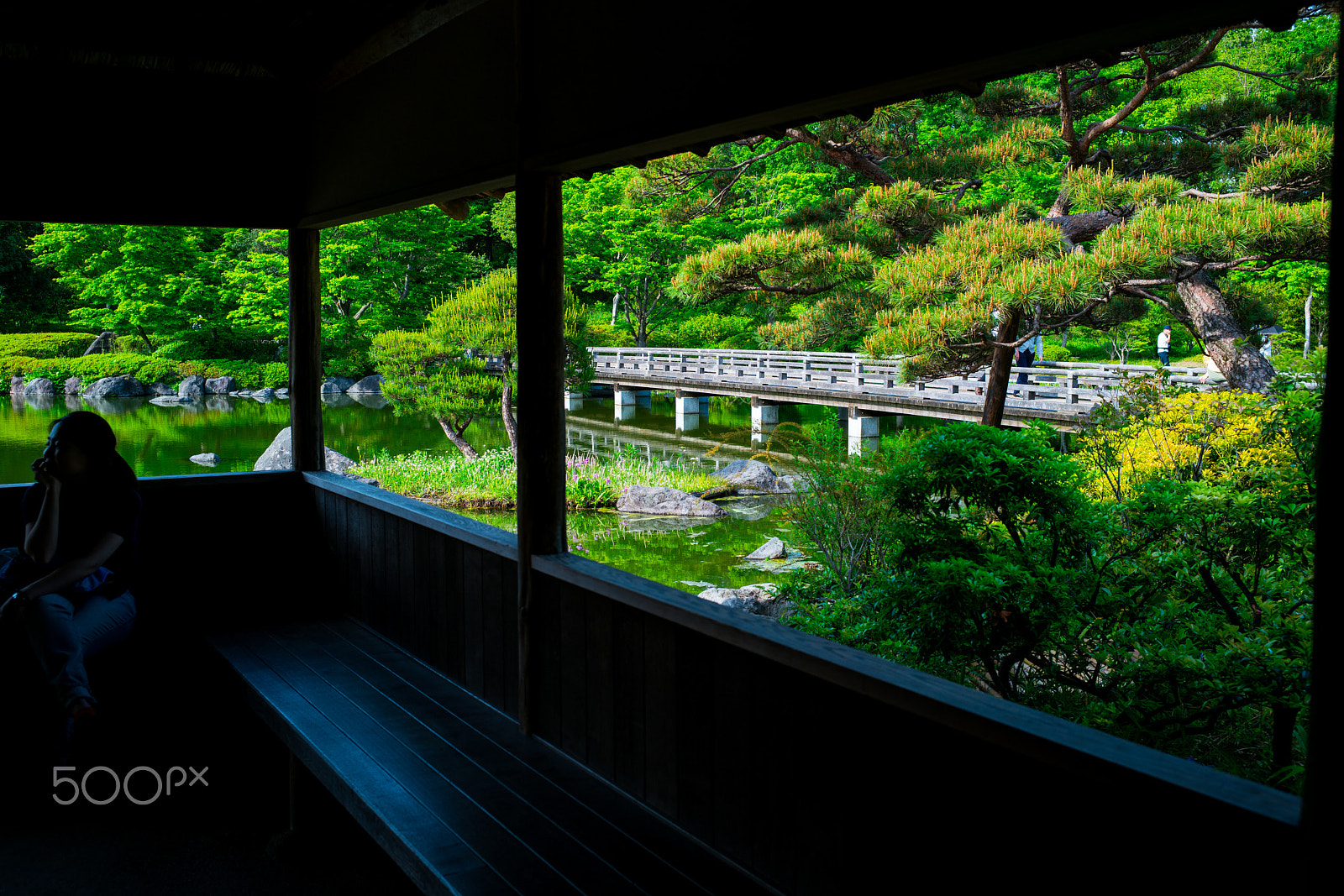 E 35mm F2 sample photo. Season of fresh greenery photography