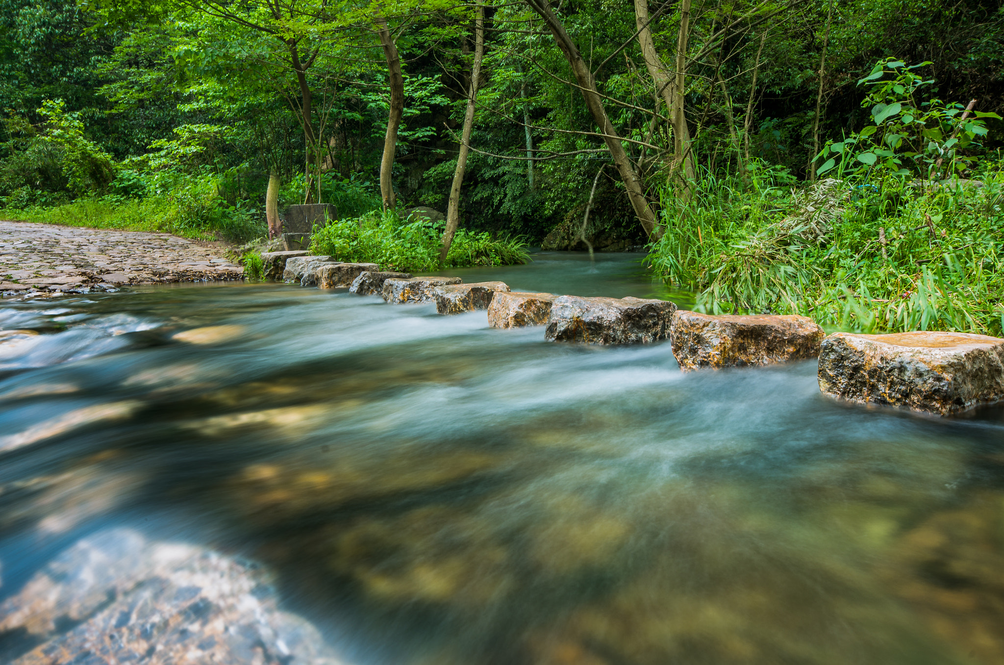 Sigma AF 10-20mm F4-5.6 EX DC sample photo. Spring and lane photography