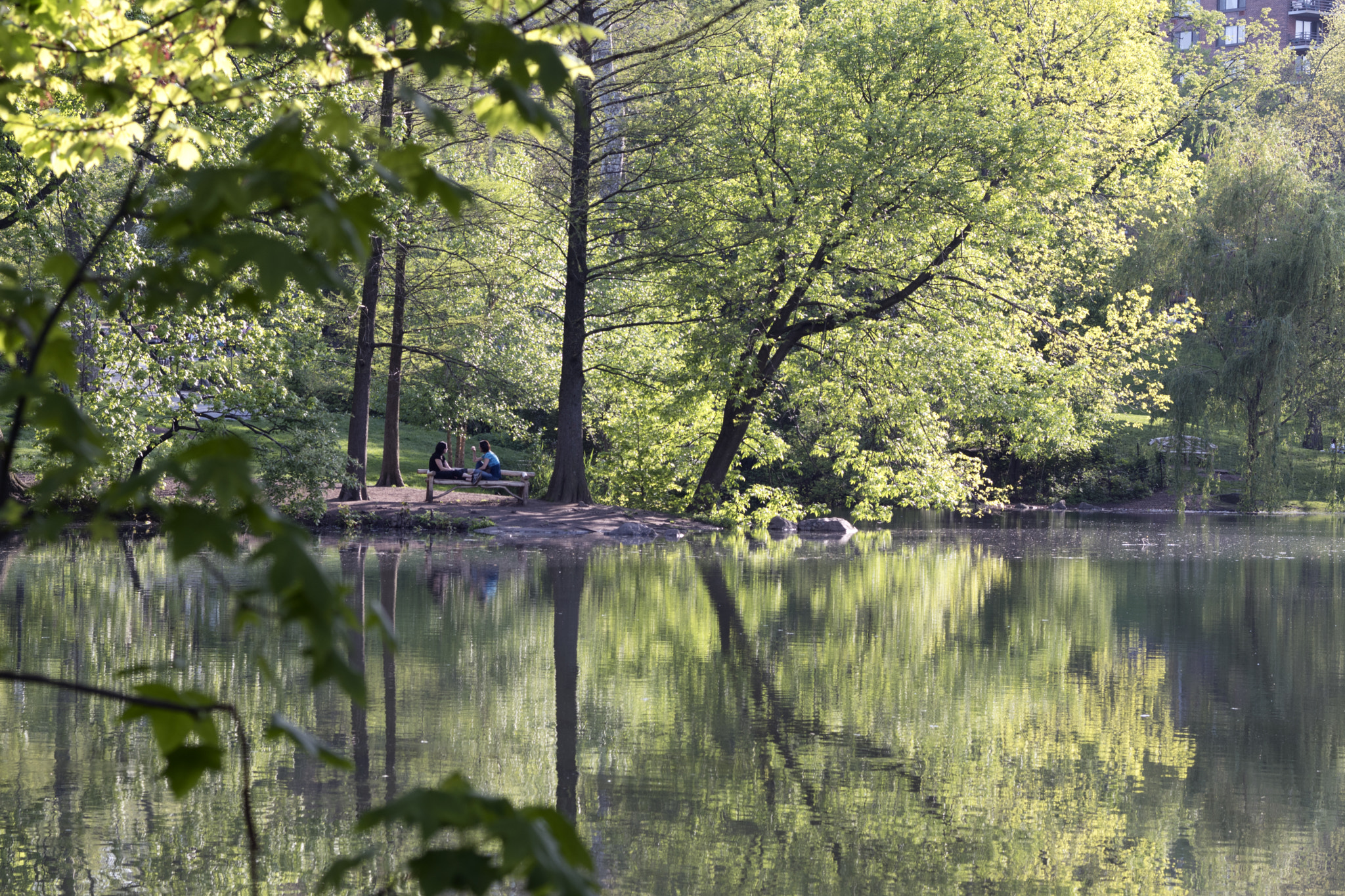 Nikon D5500 + Nikon AF-S Nikkor 58mm F1.4G sample photo. The pool - late afternoon photography