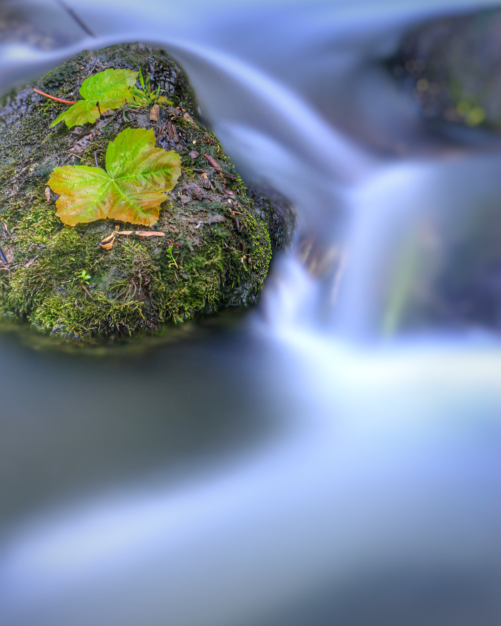 Canon EOS 7D + Canon 18-270mm sample photo. "flowing water" it was time to get wet with this o ... photography