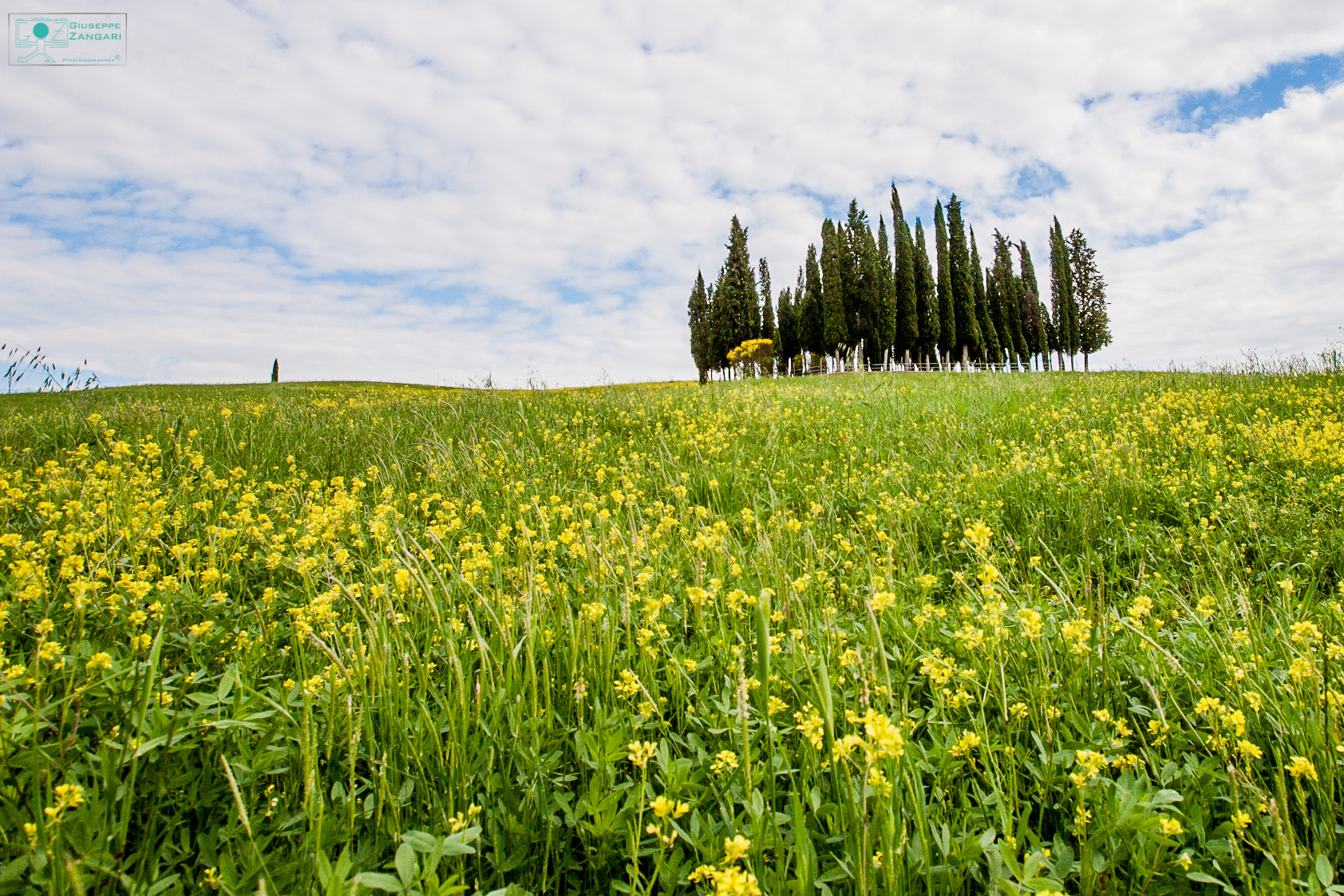 Canon EF 28mm F2.8 IS USM sample photo. Val d'orcia in yellow photography