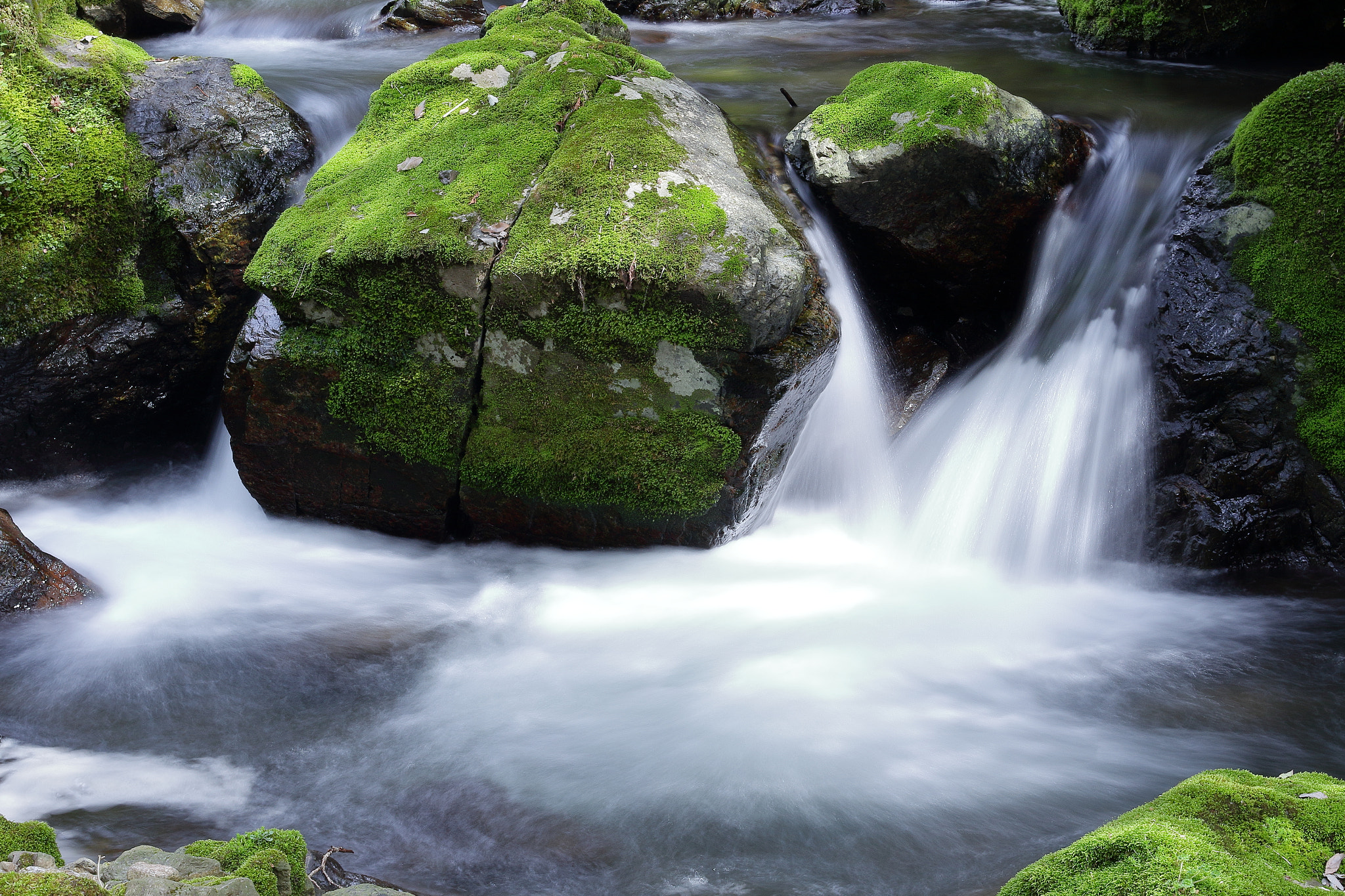 Canon EOS 700D (EOS Rebel T5i / EOS Kiss X7i) sample photo. Moss and water stream photography