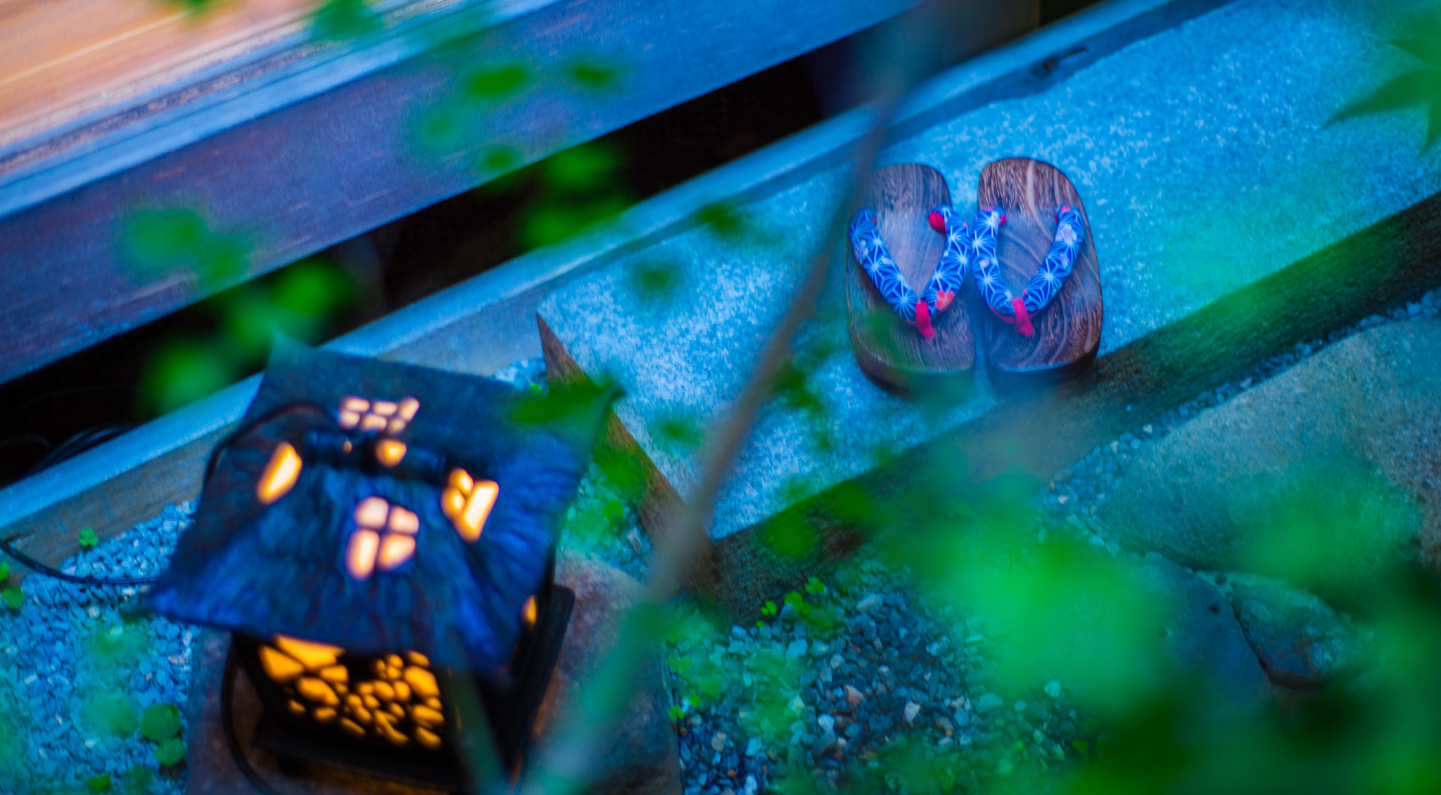 ZEISS Planar T* 50mm F1.4 sample photo. A quiet summer night . photography