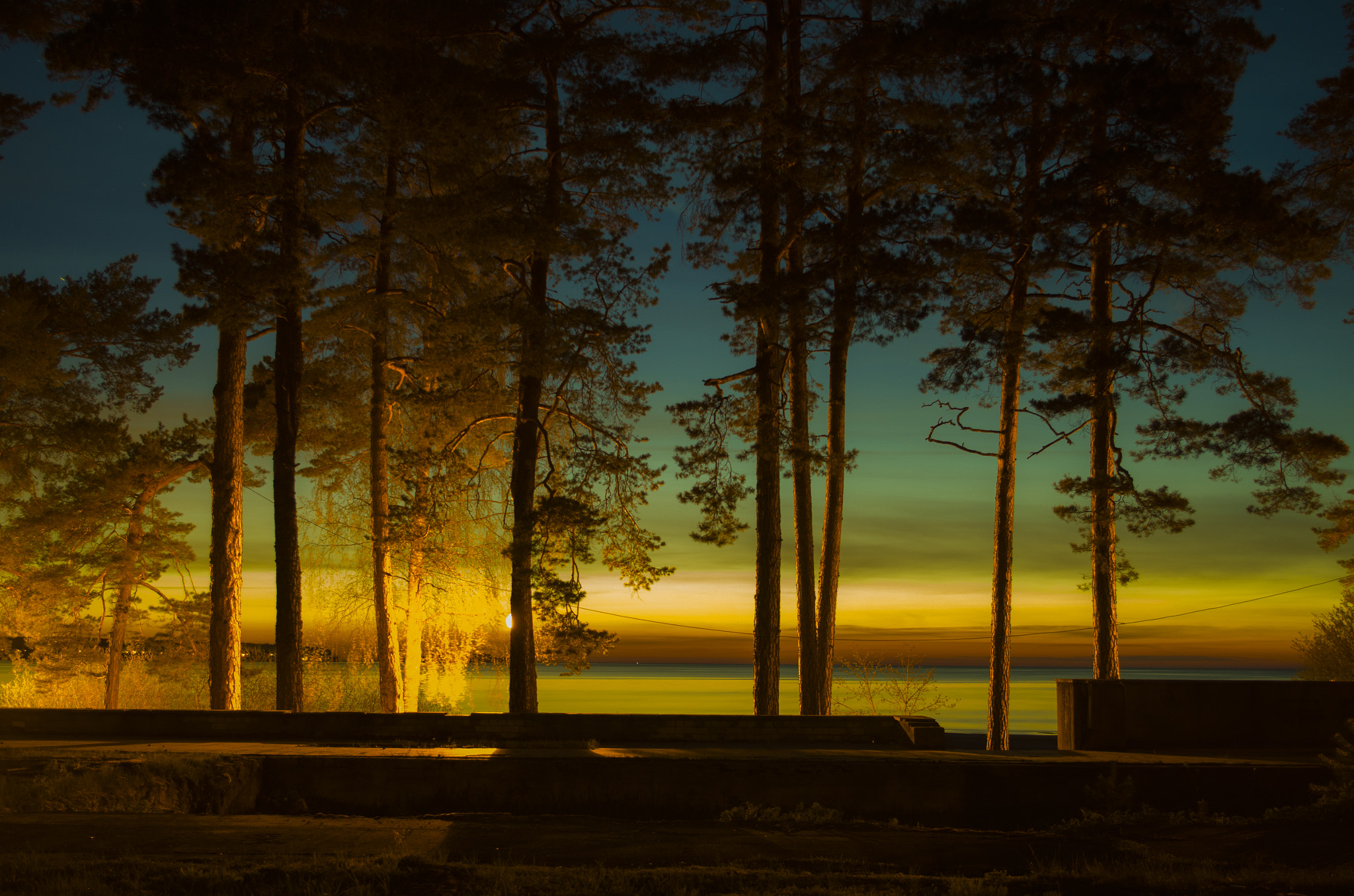 Pentax K-50 sample photo. Sunset pines photography