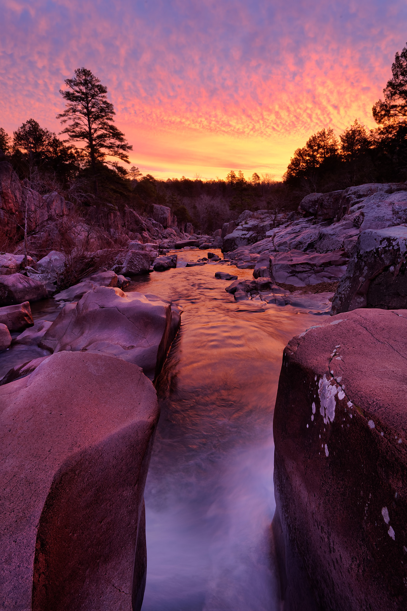 Caster River Shut-ins