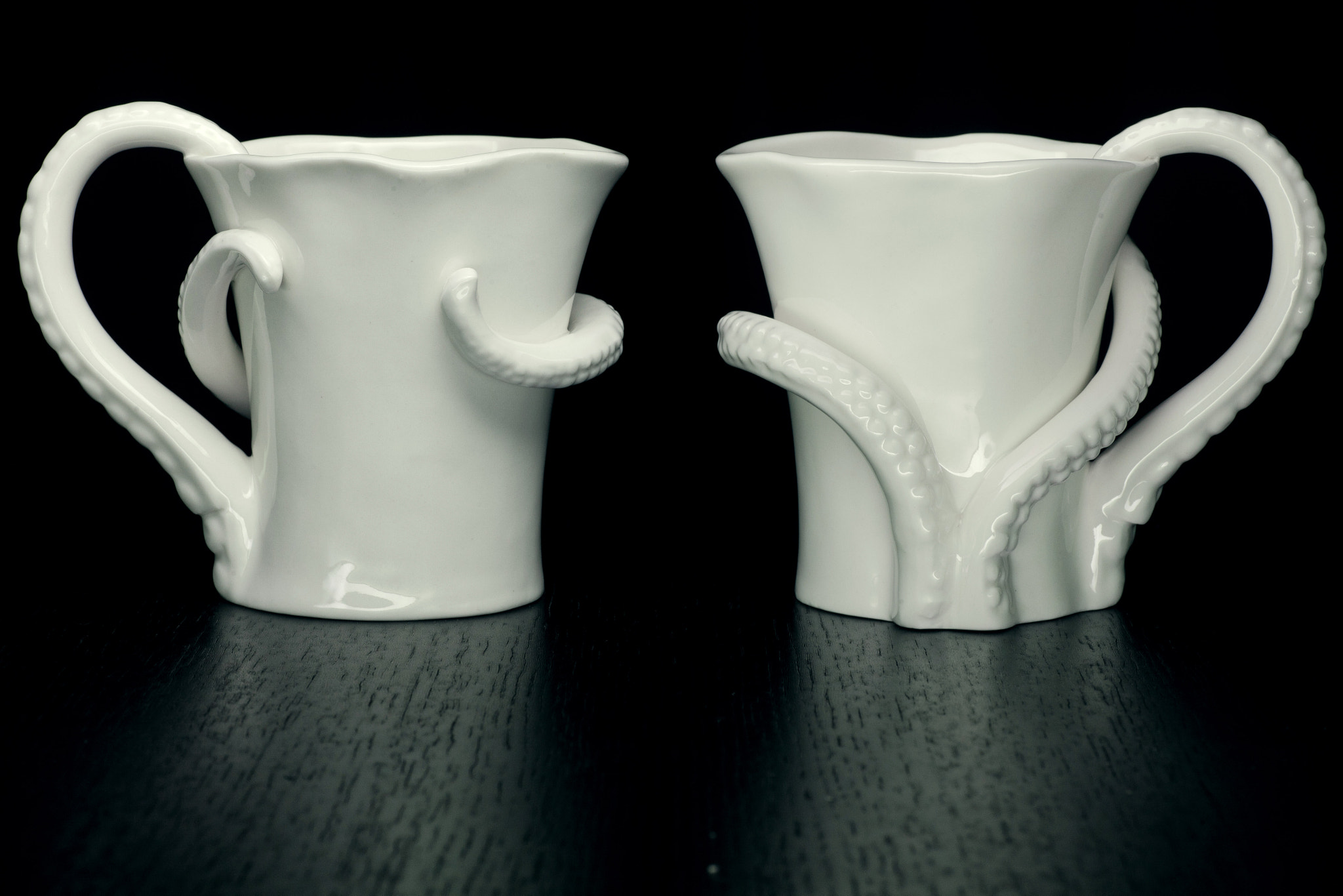 Tamron SP AF 90mm F2.8 Di Macro sample photo. Octopus mug photography