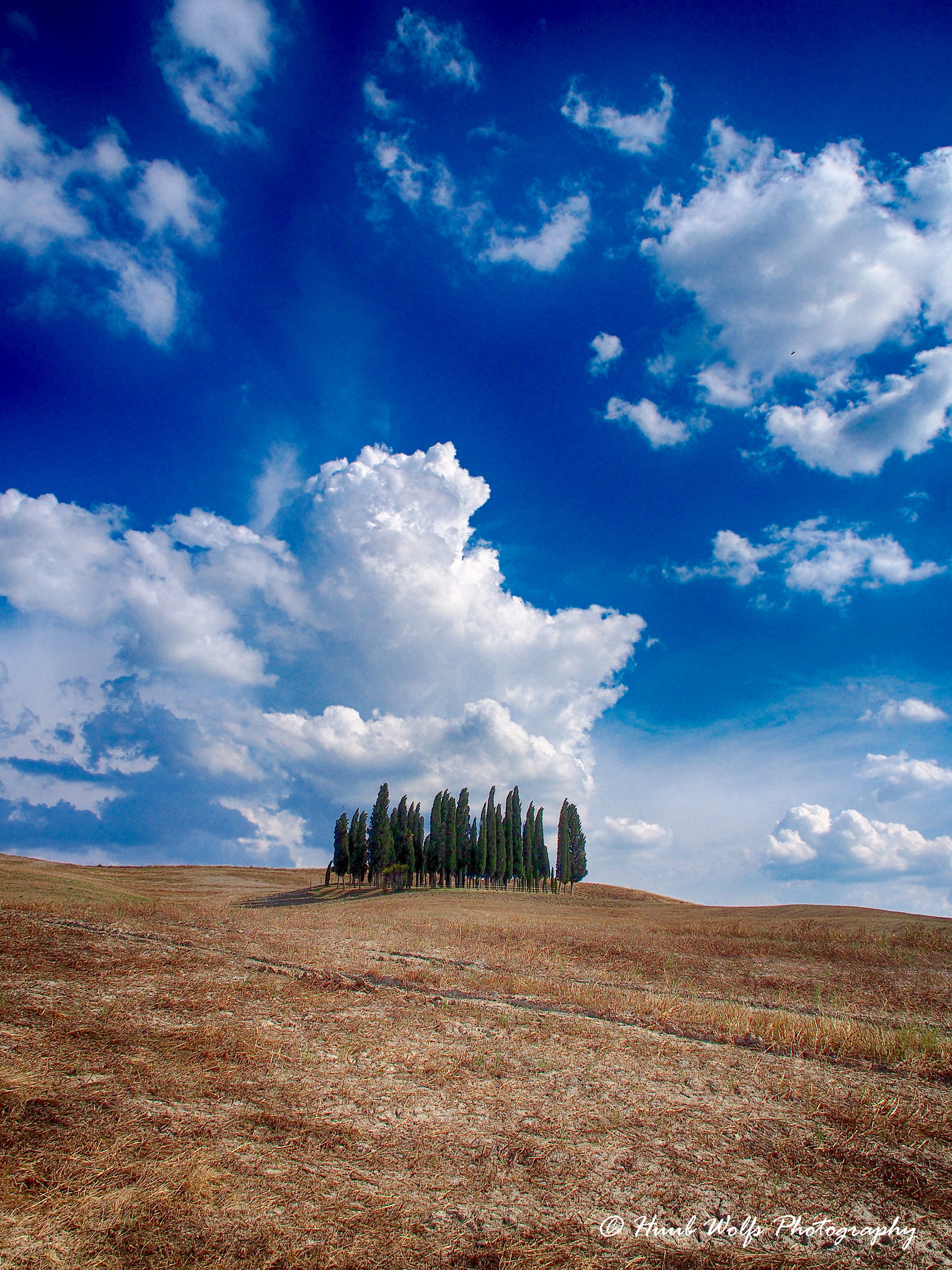 Olympus OM-D E-M5 sample photo. Under a blue sky. photography