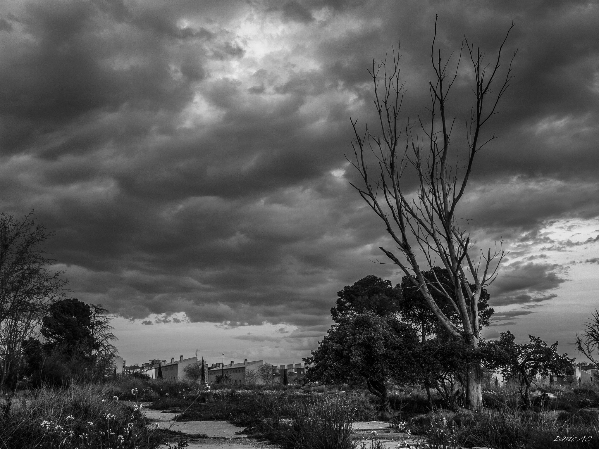 Olympus E-520 (EVOLT E-520) + OLYMPUS 18mm-180mm Lens sample photo. Paisaje blanco y negro photography