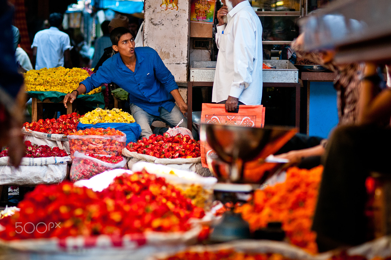 Nikon D300 + Nikon AF Nikkor 85mm F1.8D sample photo. From mysore photography