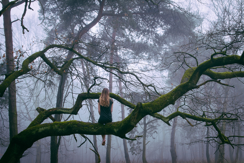 Into the woods. by Julia Wengenroth on 500px.com