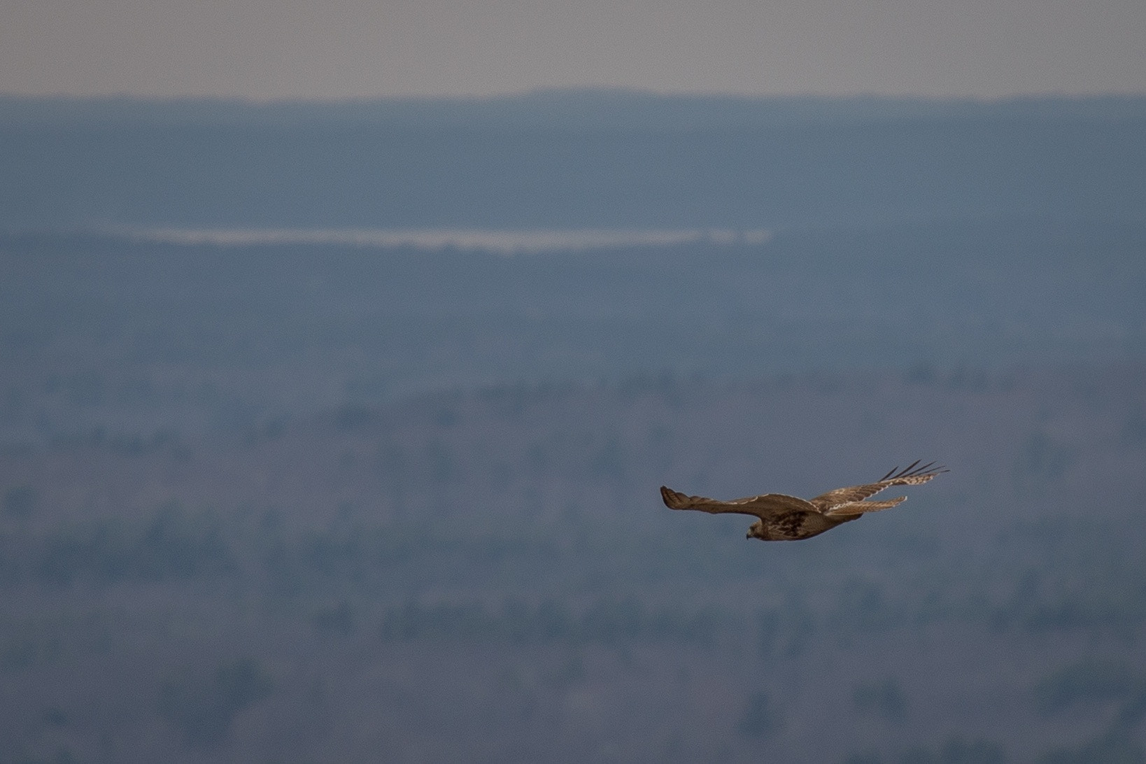 Canon EF 70-200mm F4L USM sample photo. Untitled photography