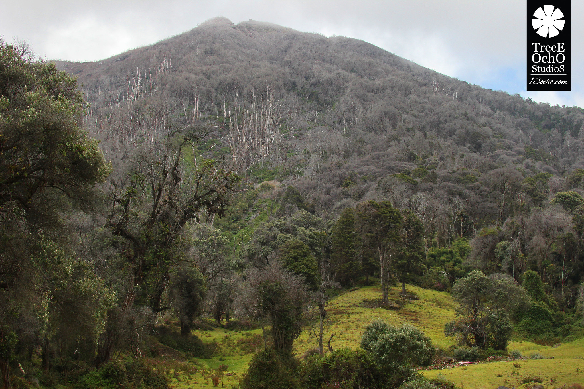 Canon EF 35-350mm F3.5-5.6L USM sample photo. Turrialba photography