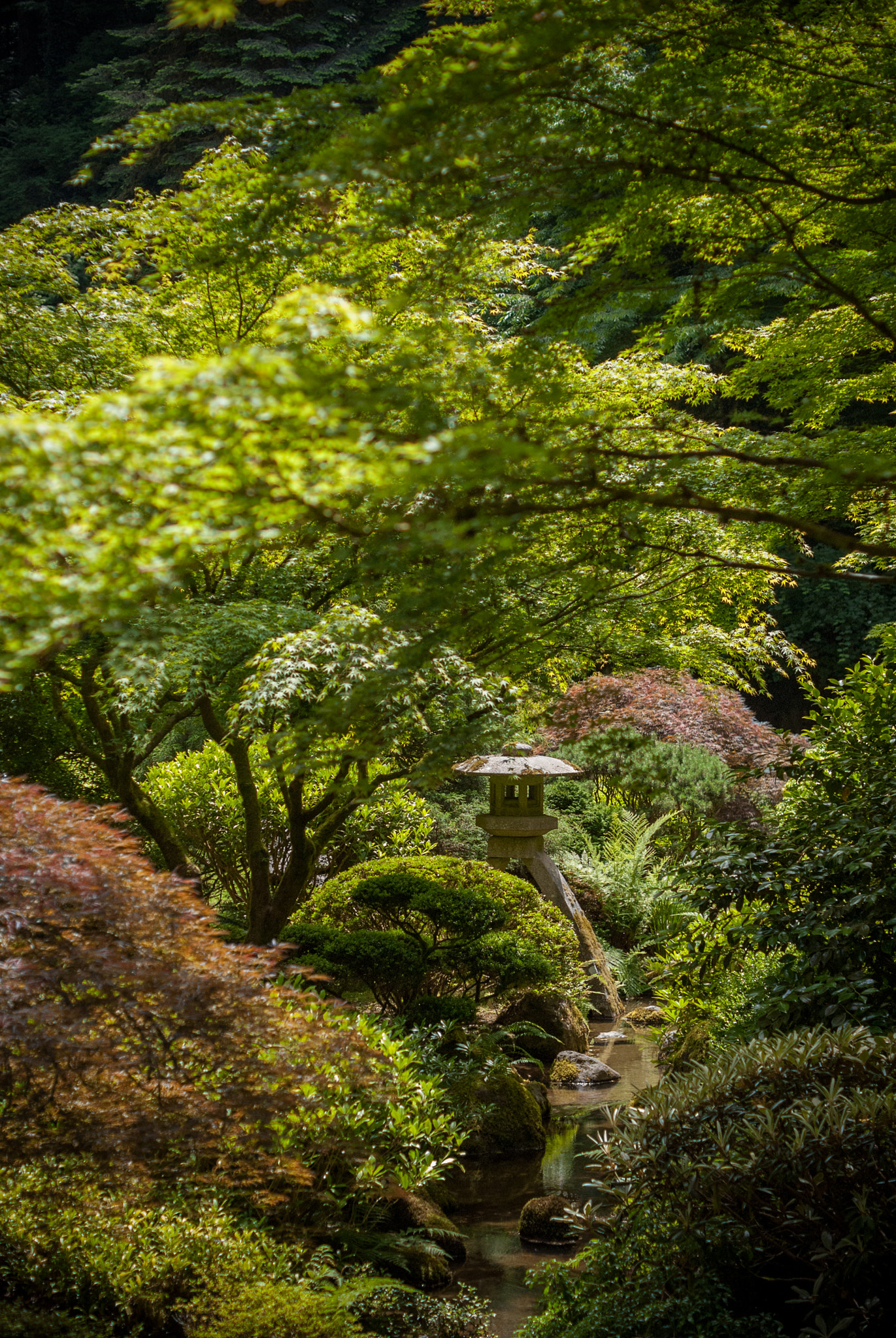 Sony Alpha DSLR-A300 sample photo. Japanese garden pagoda landscape photography