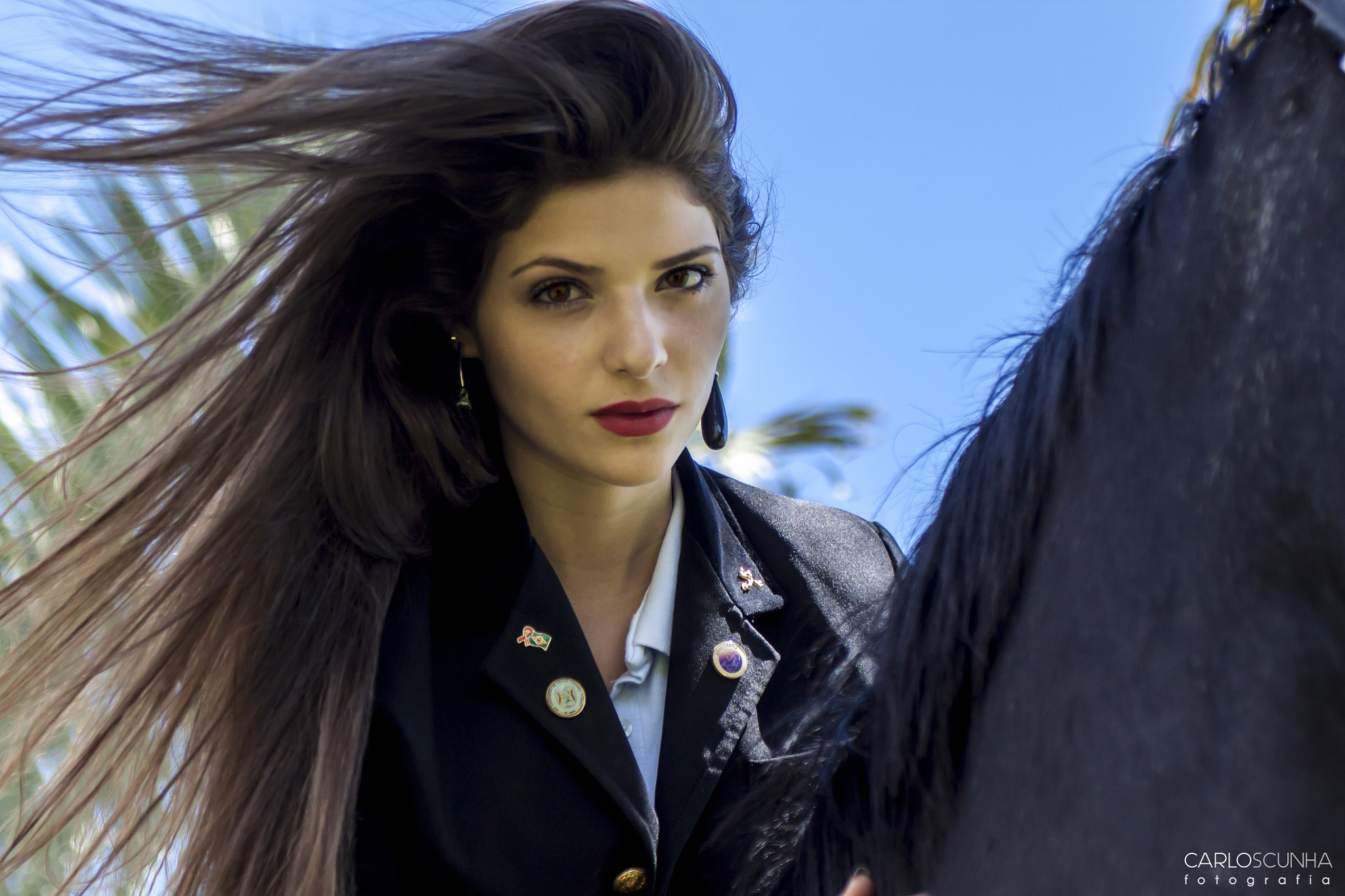 Sigma 24-70mm F2.8 EX DG Macro sample photo. Black horse photography