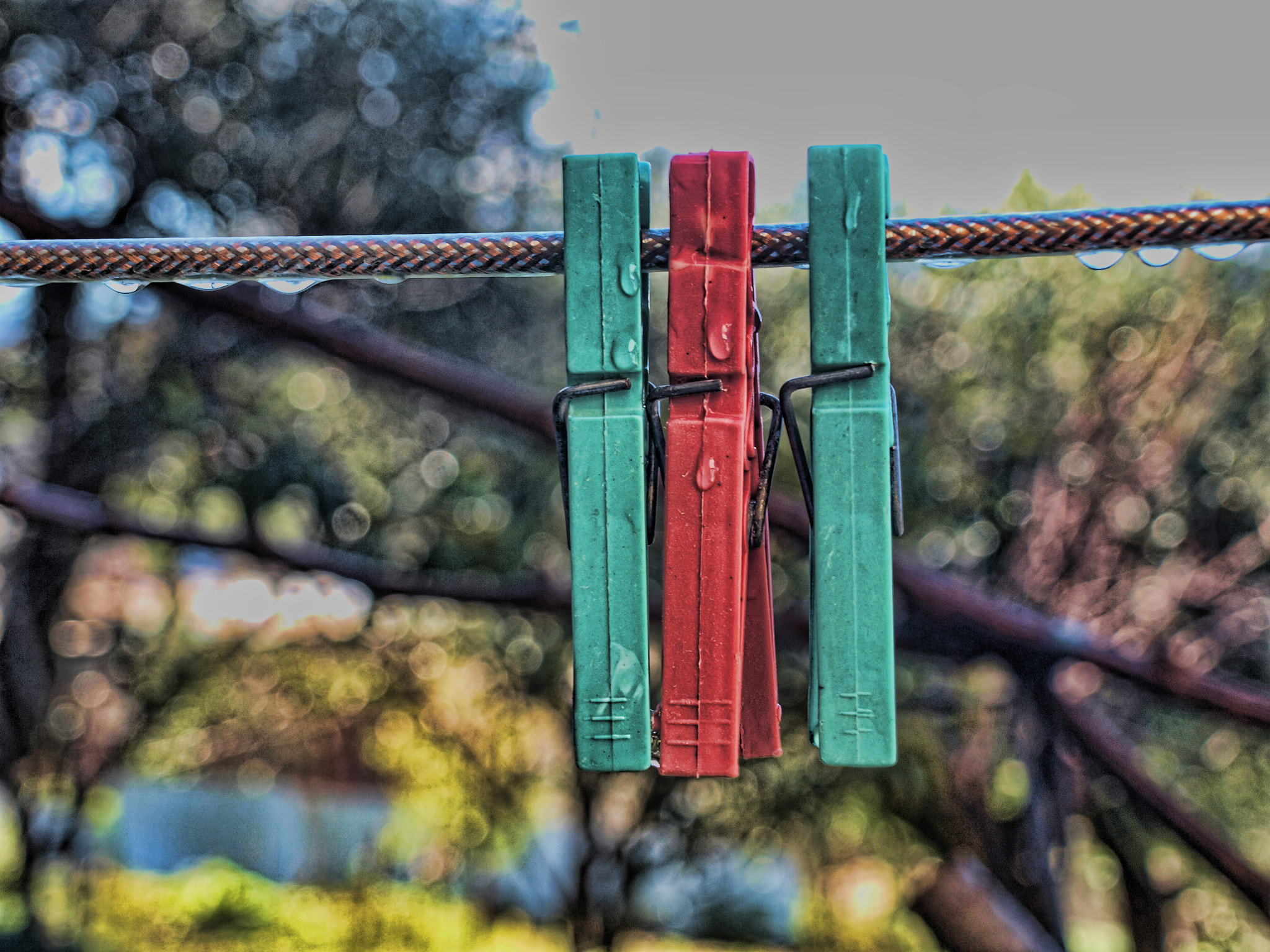 Olympus E-620 (EVOLT E-620) + OLYMPUS 14-42mm Lens sample photo. النطاطة photography