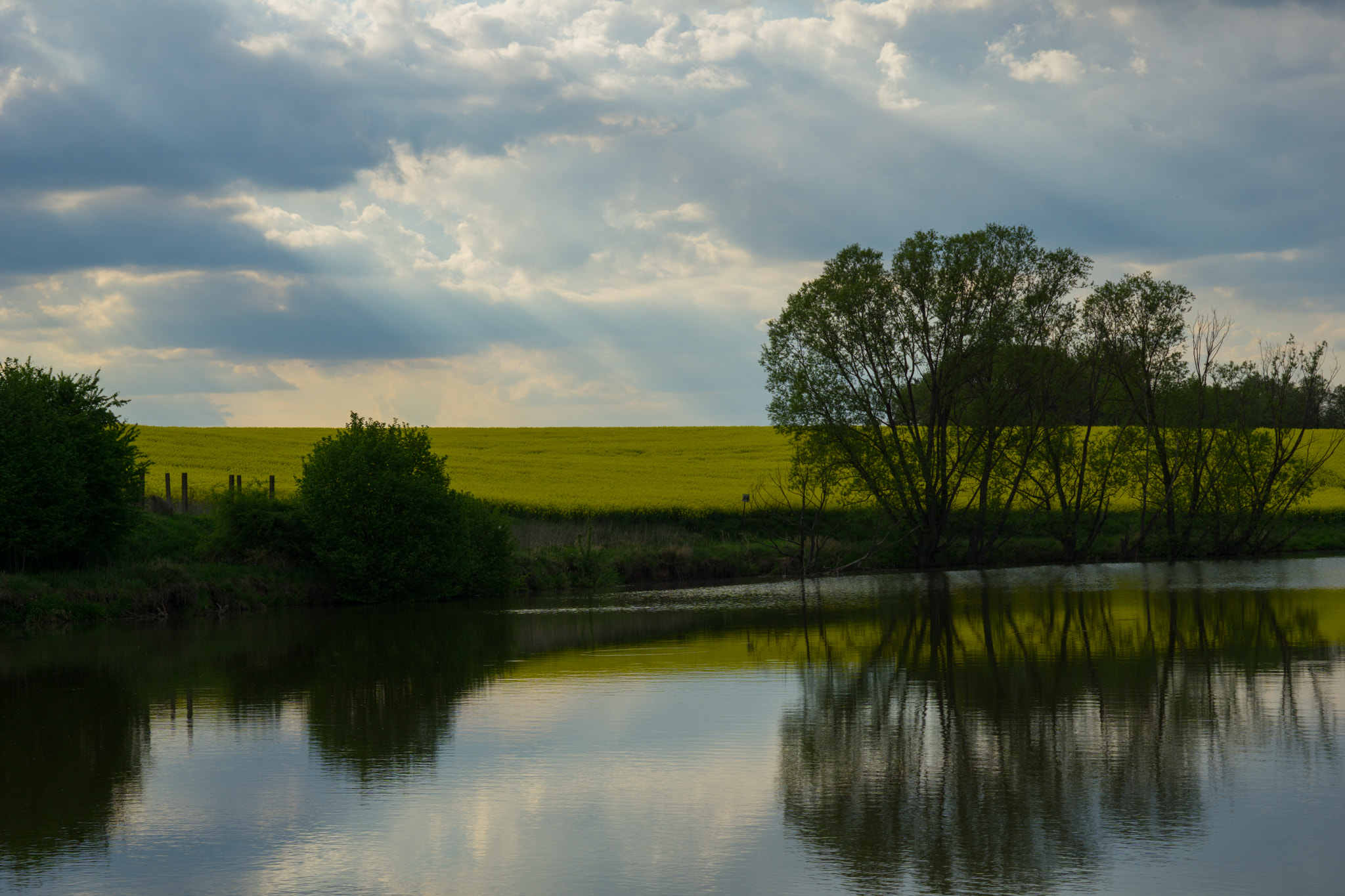 Sony a5100 + E 50mm F1.8 OSS sample photo. Lake photography