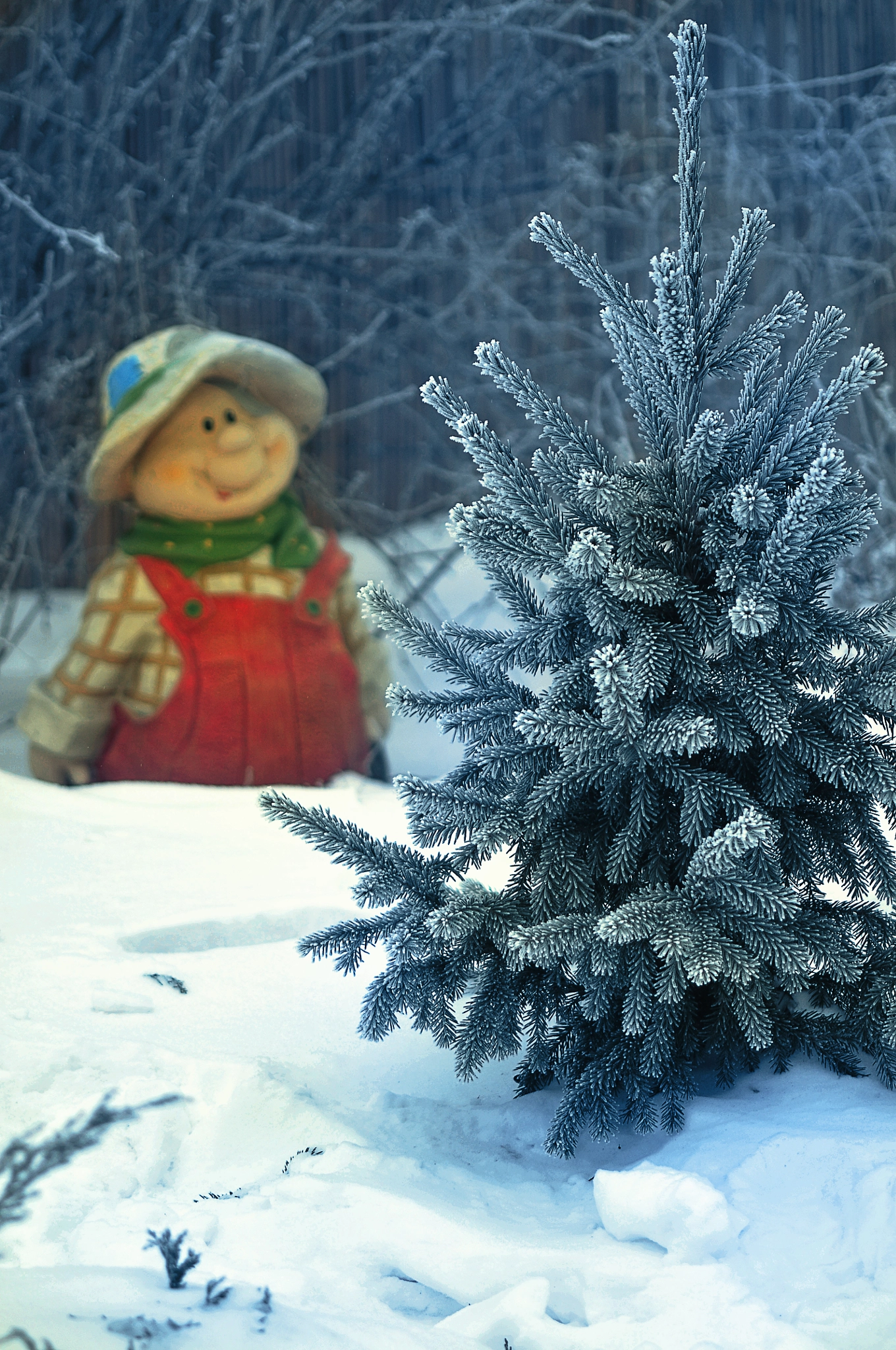 Nikon D300 + AF Micro-Nikkor 105mm f/2.8 sample photo. Морозное утро photography