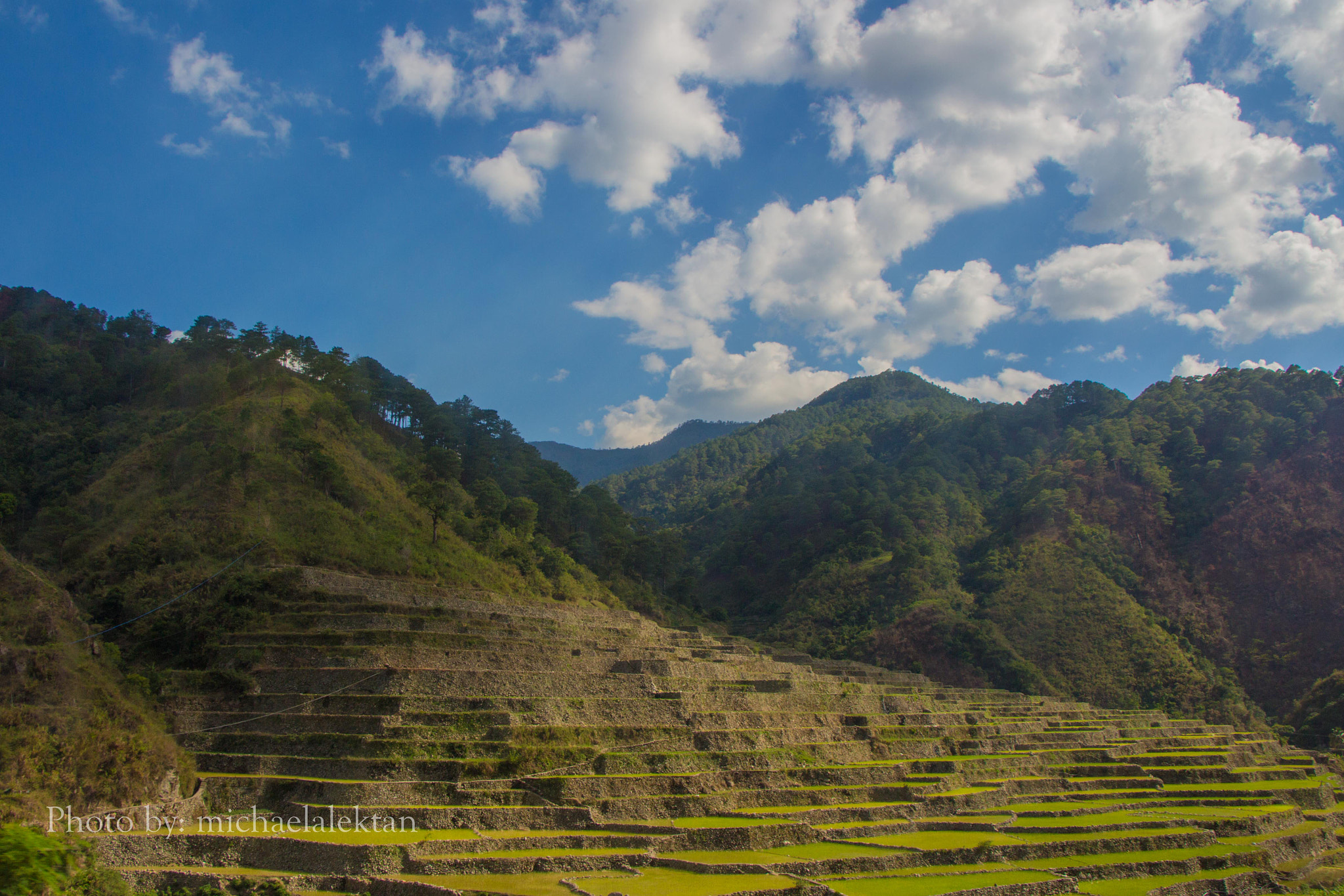 Canon EF-S 18-135mm F3.5-5.6 IS STM sample photo. Rice terraces photography