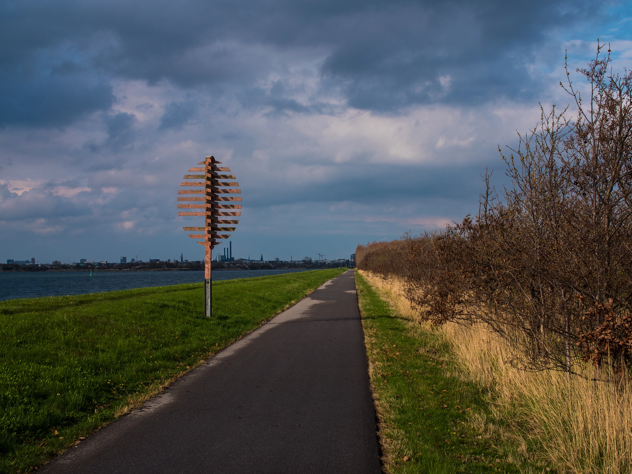 Panasonic Lumix DMC-GH4 sample photo. Sunlight photography