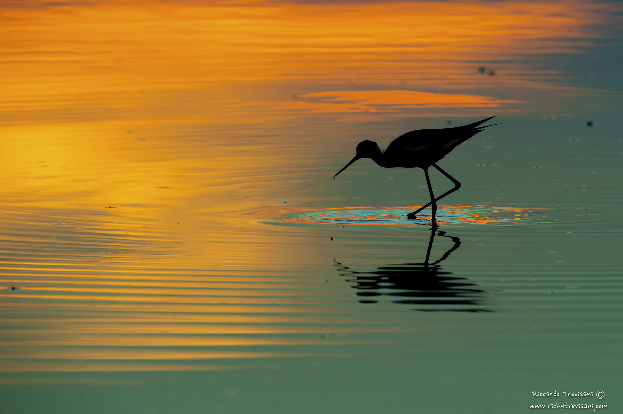 Nikon AF-S Nikkor 300mm F2.8G ED VR II sample photo. Sunset lights photography