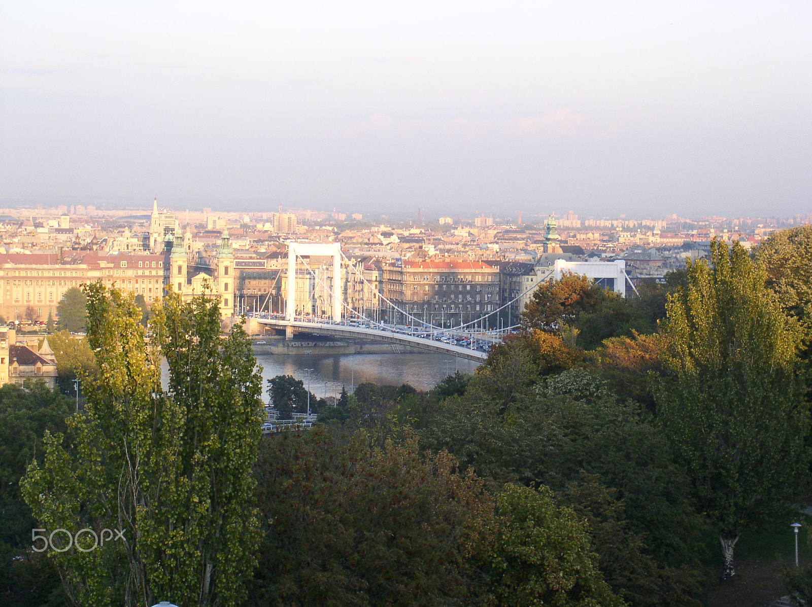 Olympus C4100Z,C4000Z sample photo. Budapest through trees photography