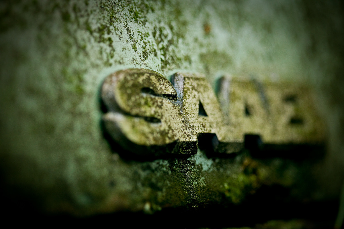 Canon EOS 5D + Canon EF 100mm F2.8 Macro USM sample photo. Dead saab photography