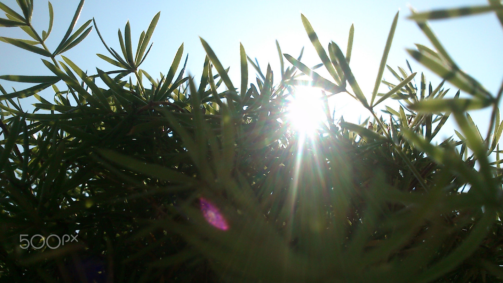 Sony Ericsson Live with Walkman sample photo. Rays of hope! photography