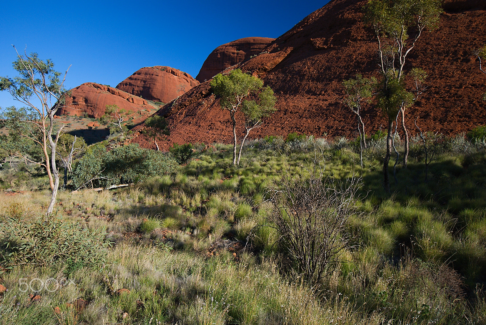 Nikon D80 sample photo. Uluru ii photography