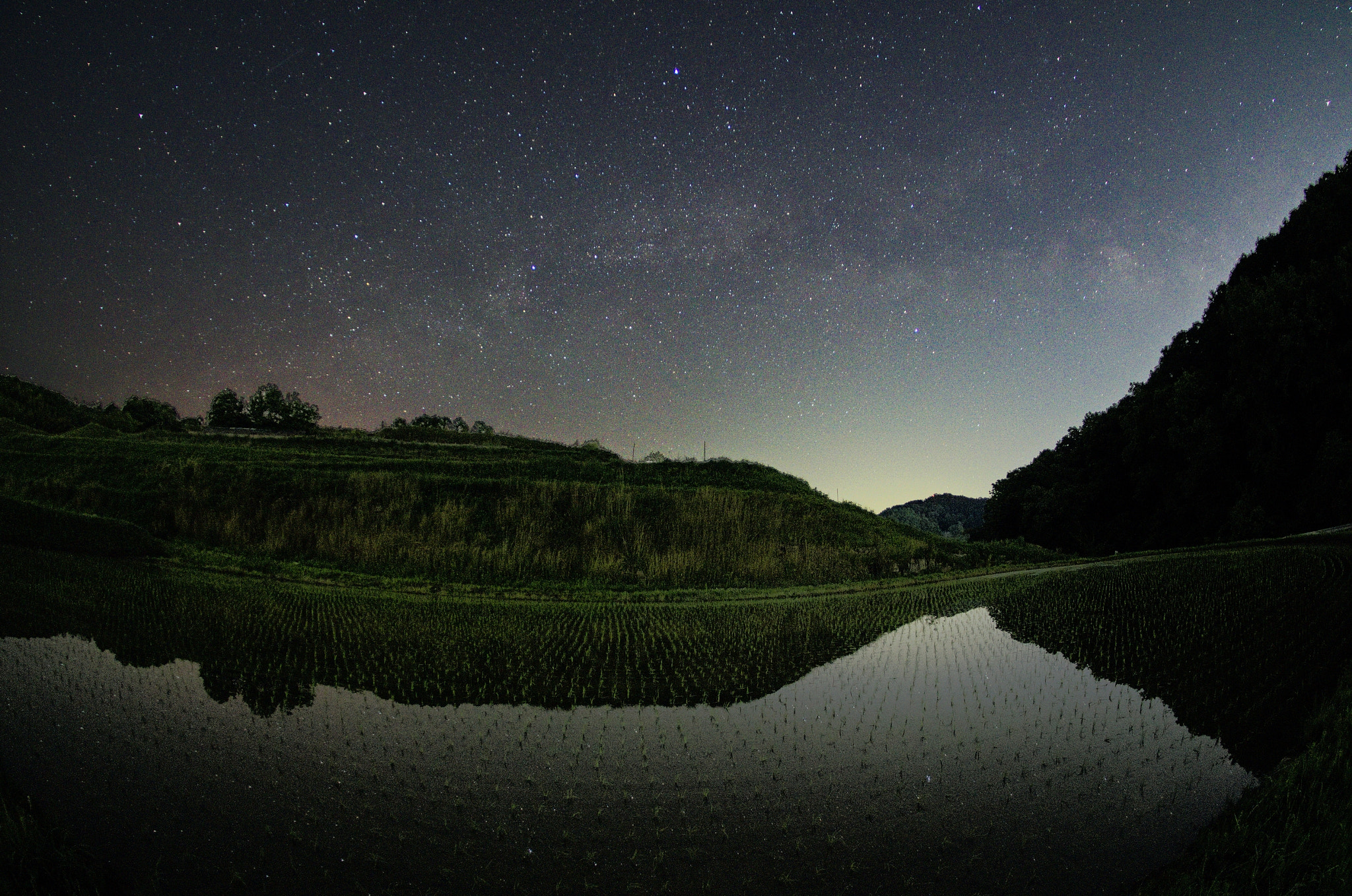 Sigma Lens (8 255) sample photo. Paddy field photography