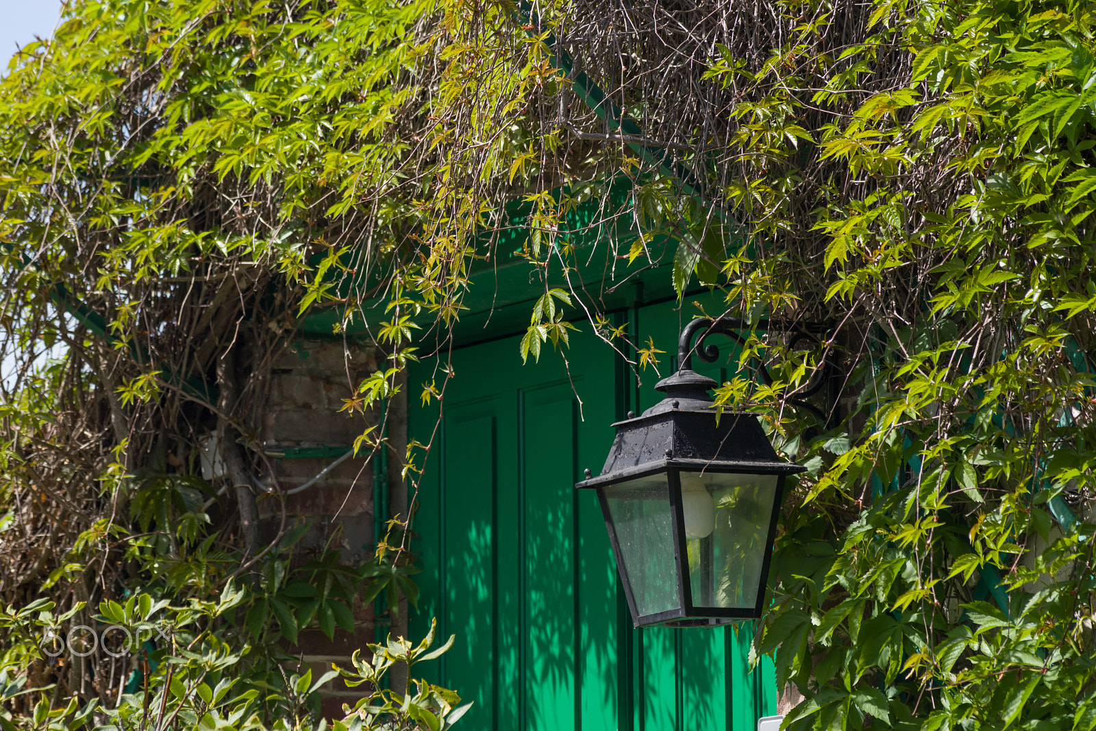 Pentax K-1 + smc PENTAX-F 70-210mm F4-5.6 sample photo. Claude monet garden giverny france photography