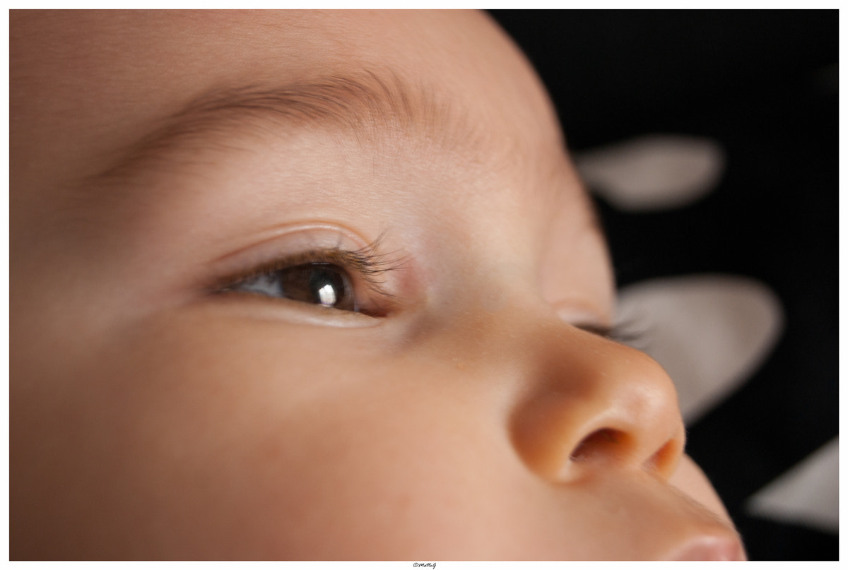 Sony Alpha DSLR-A290 + Sony DT 18-55mm F3.5-5.6 SAM sample photo. Giò photography