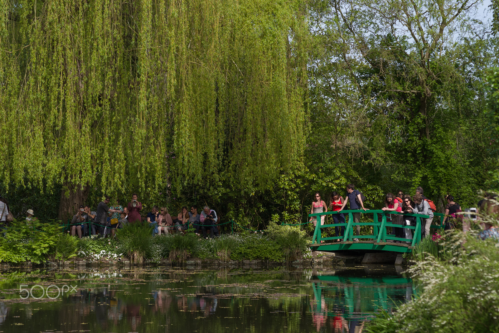 smc PENTAX-F 70-210mm F4-5.6 sample photo. Claude monet garden giverny france photography