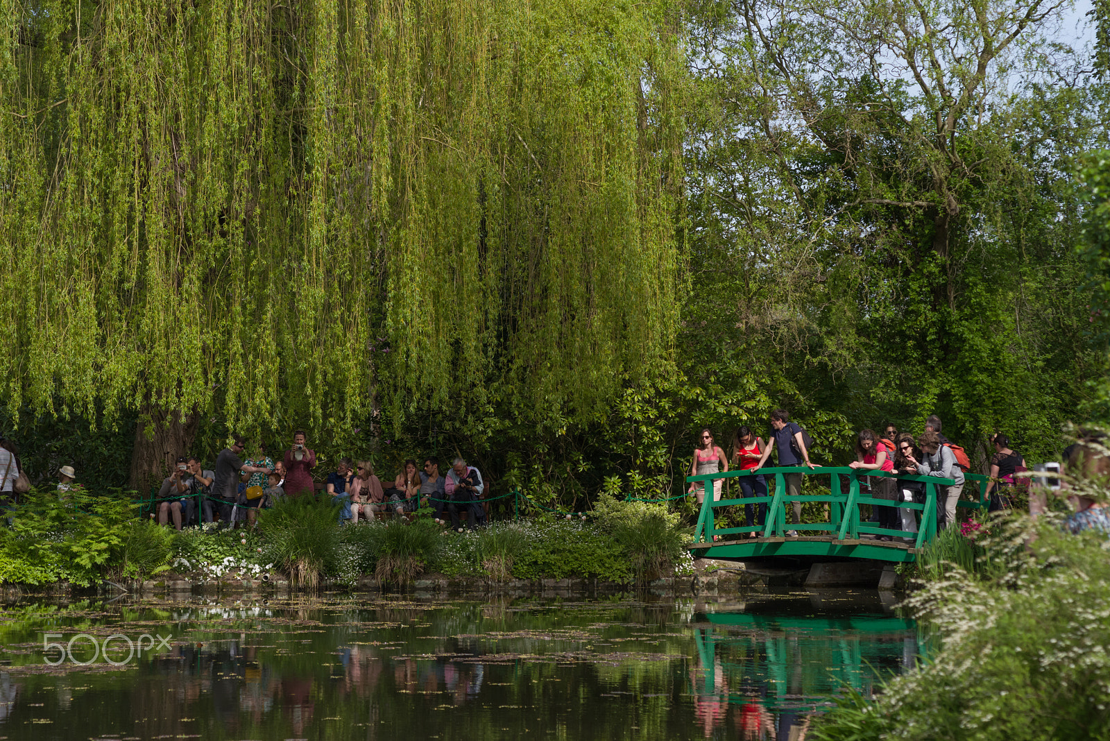 Pentax K-1 + smc PENTAX-F 70-210mm F4-5.6 sample photo. Claude monet garden giverny france photography