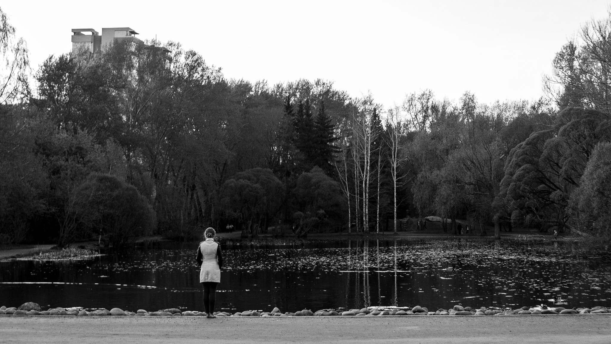 Canon EF 28-135mm F3.5-5.6 IS USM sample photo. Loneliness photography