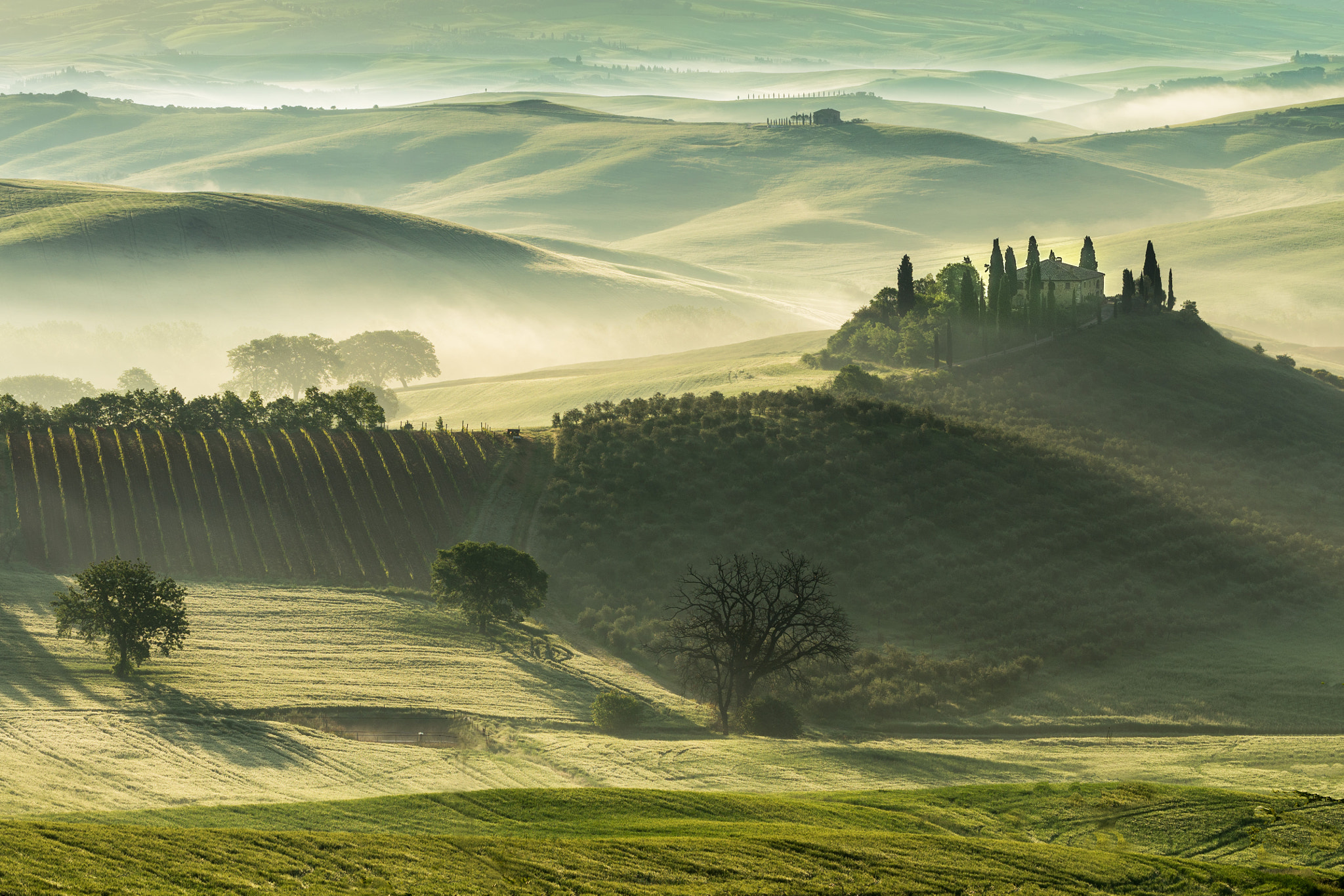 Pentax K-5 IIs + Pentax smc DA* 50-135mm F2.8 ED (IF) SDM sample photo. Creeping light into spring tuscan fields photography