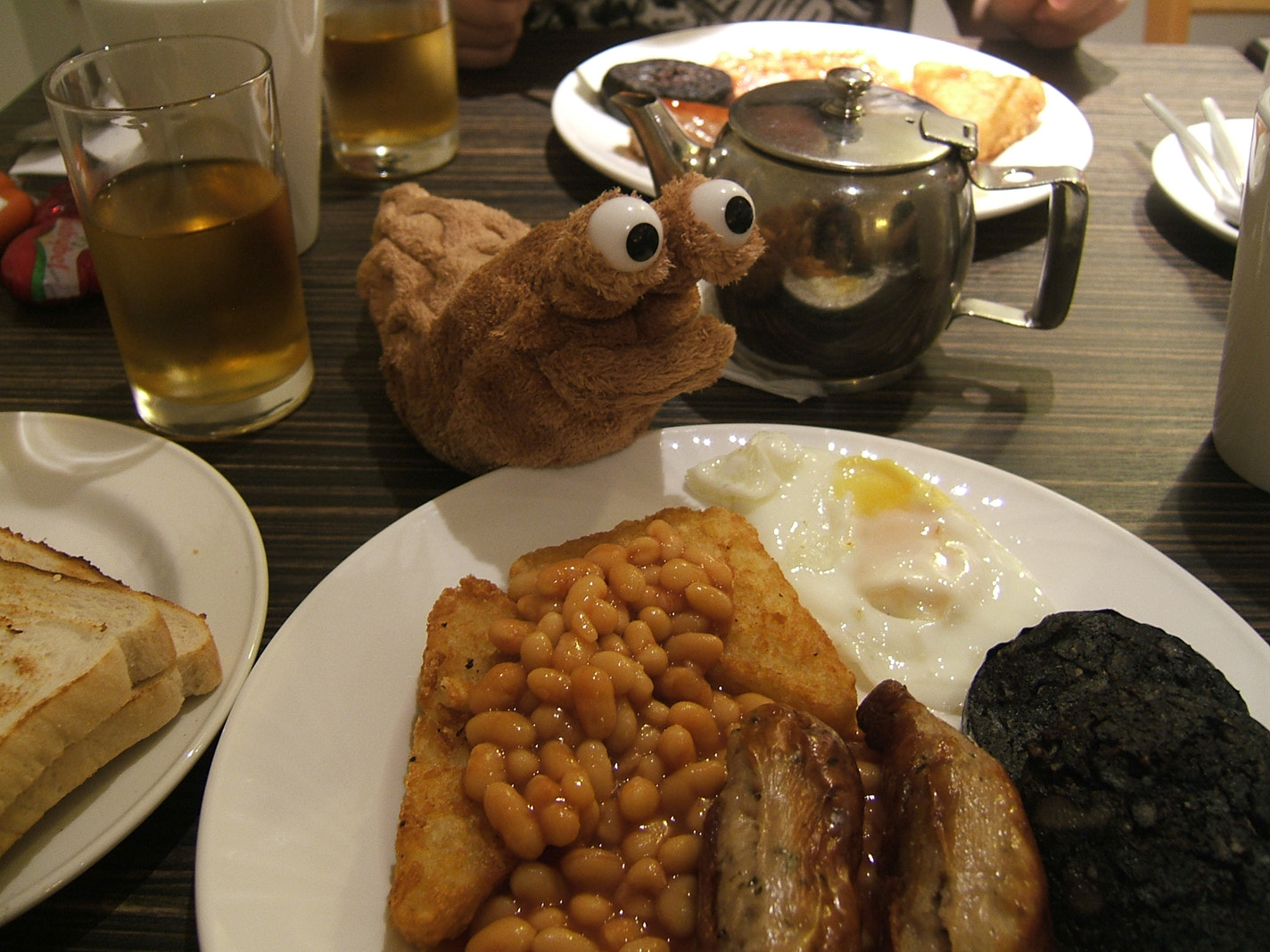 Fujifilm FinePix E550 sample photo. Breakfast of champions photography