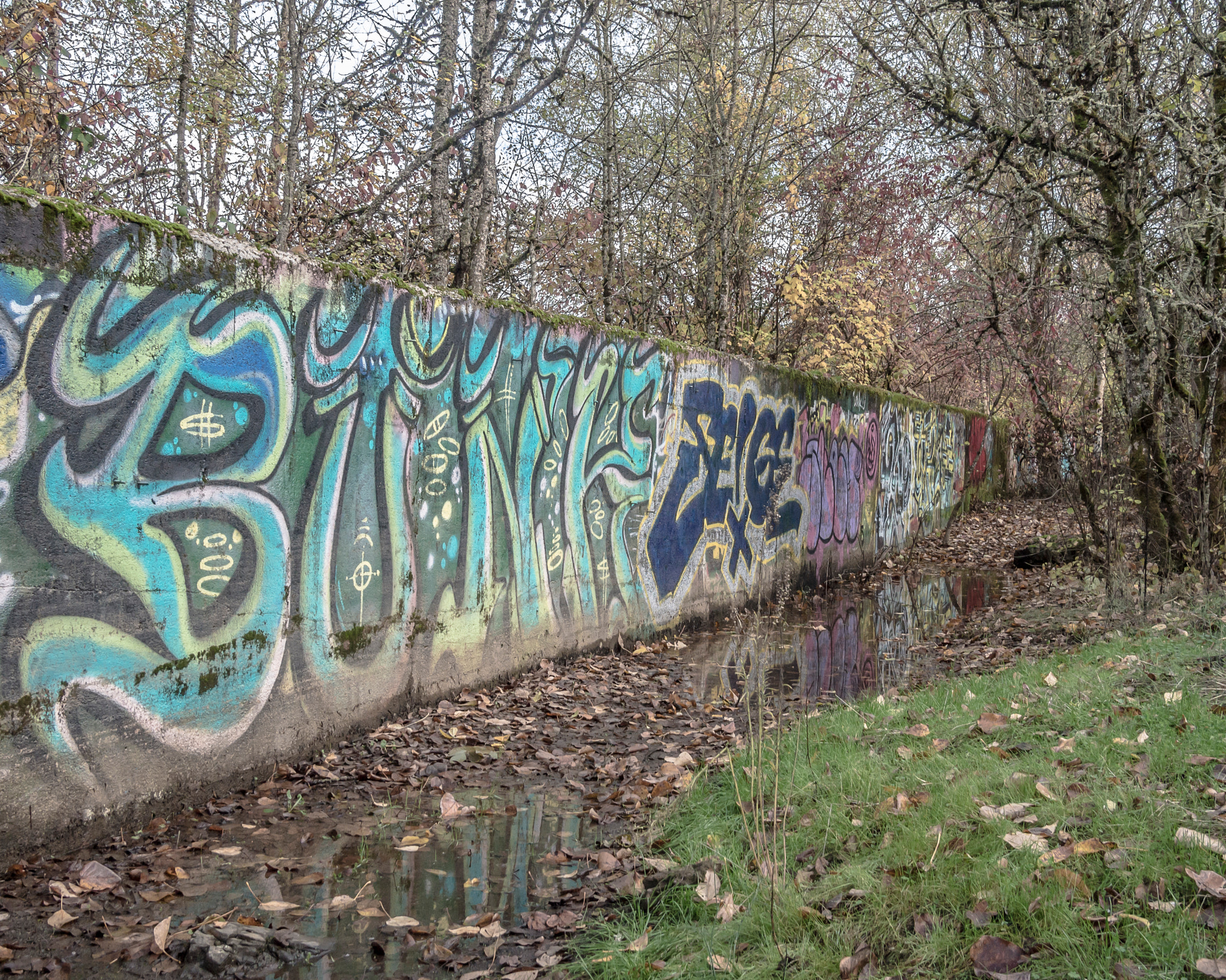 Olympus PEN E-PL3 + Panasonic Lumix G 20mm F1.7 ASPH sample photo. Eugene graffiti photography