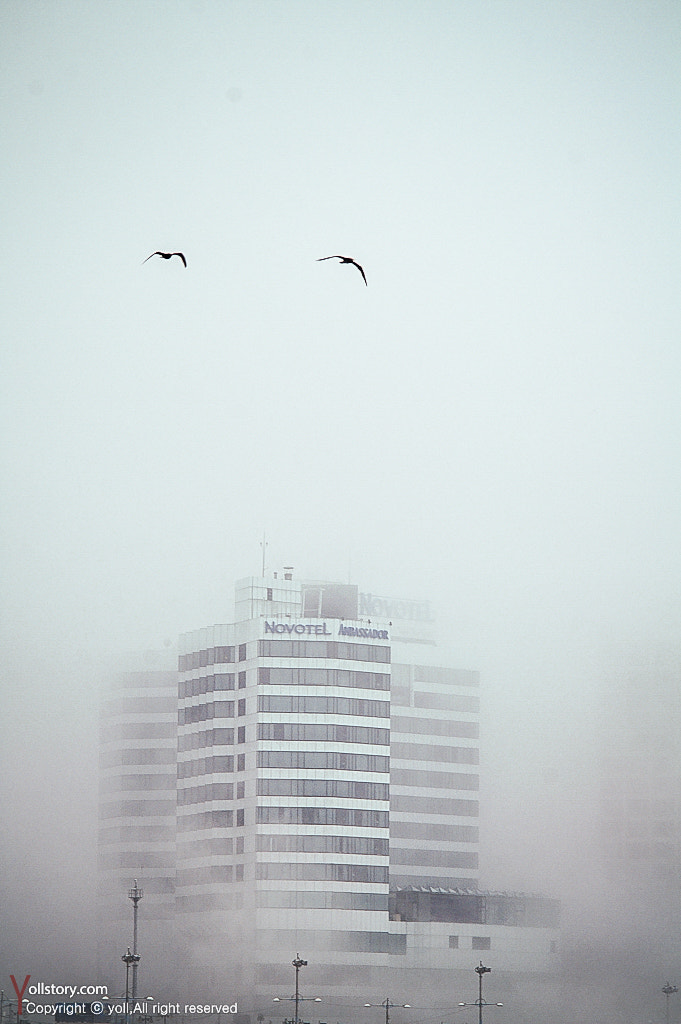 KONICA MINOLTA ALPHA-7 DIGITAL sample photo. Fog.. photography