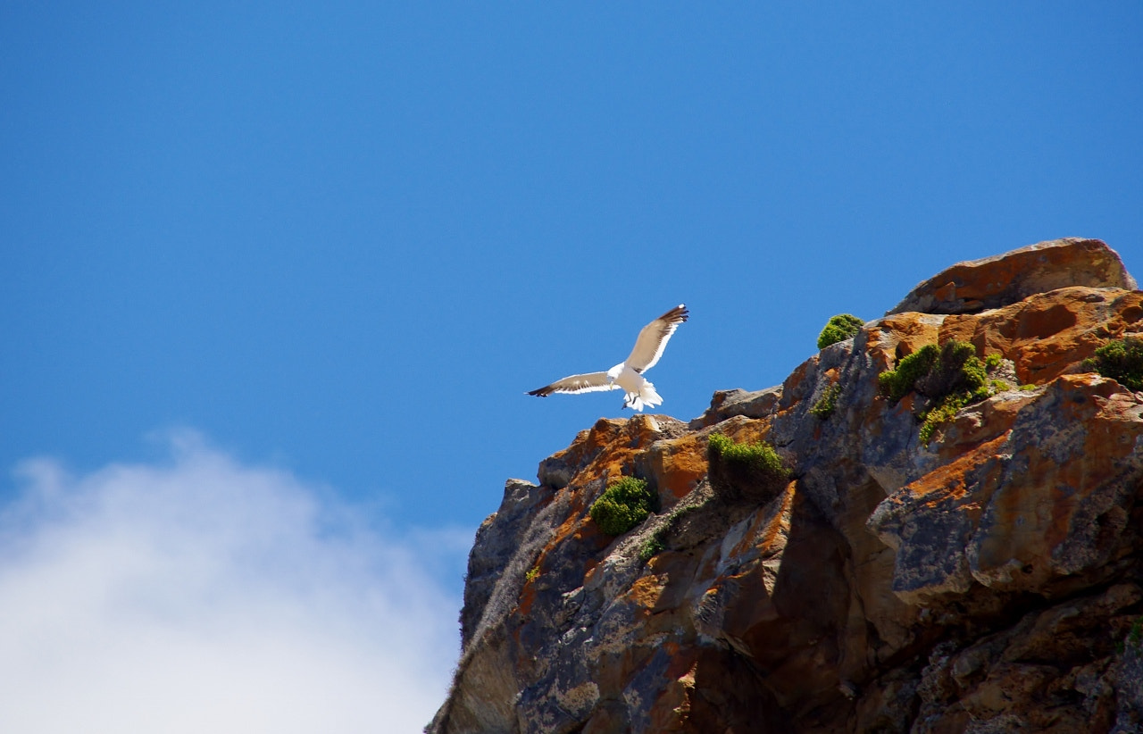 Pentax K-m (K2000) + Sigma 18-250mm F3.5-6.3 DC OS HSM sample photo. The world's rim photography