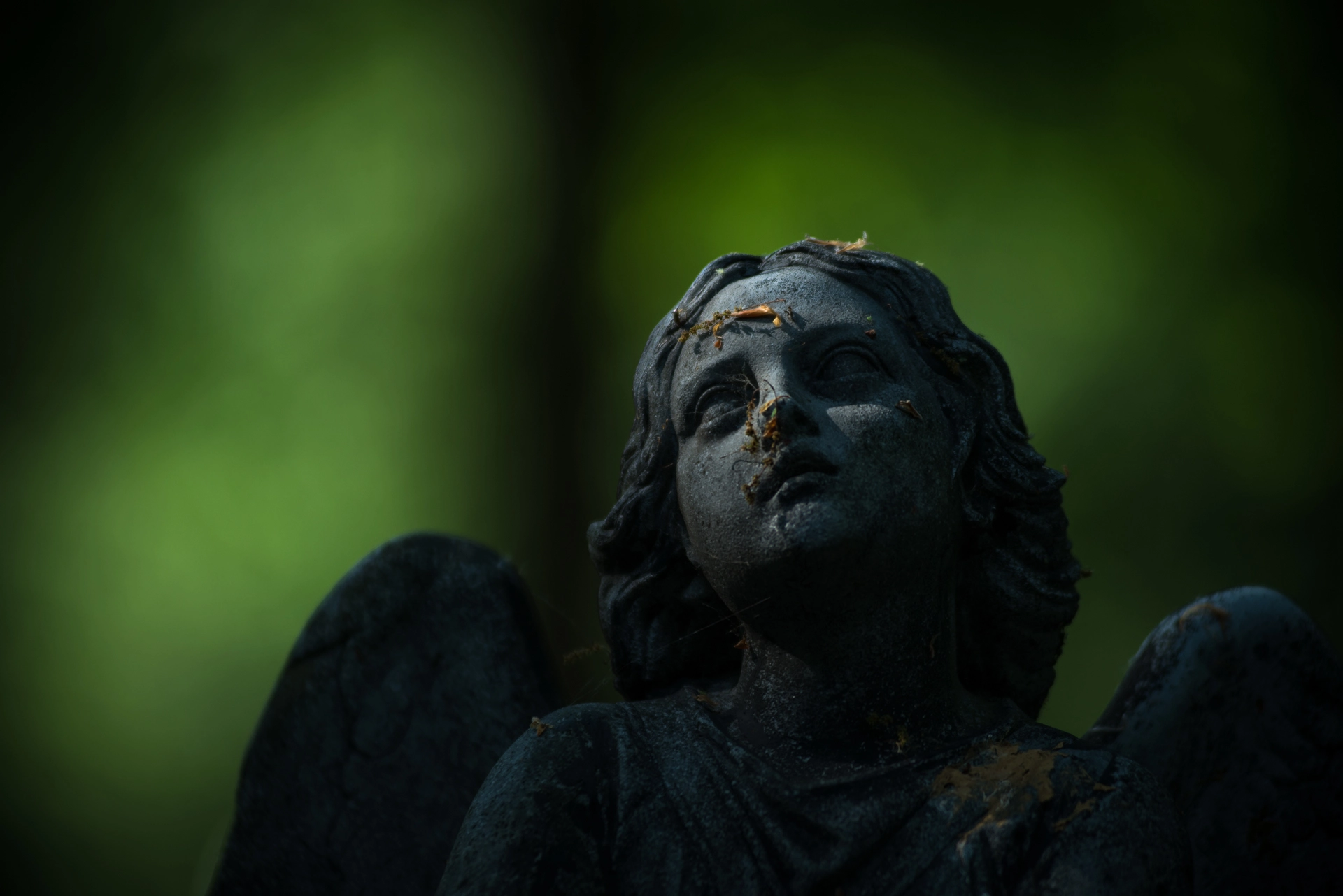 AF Zoom-Nikkor 80-200mm f/2.8 ED sample photo. Angel, oud eik en duinen cemetery photography