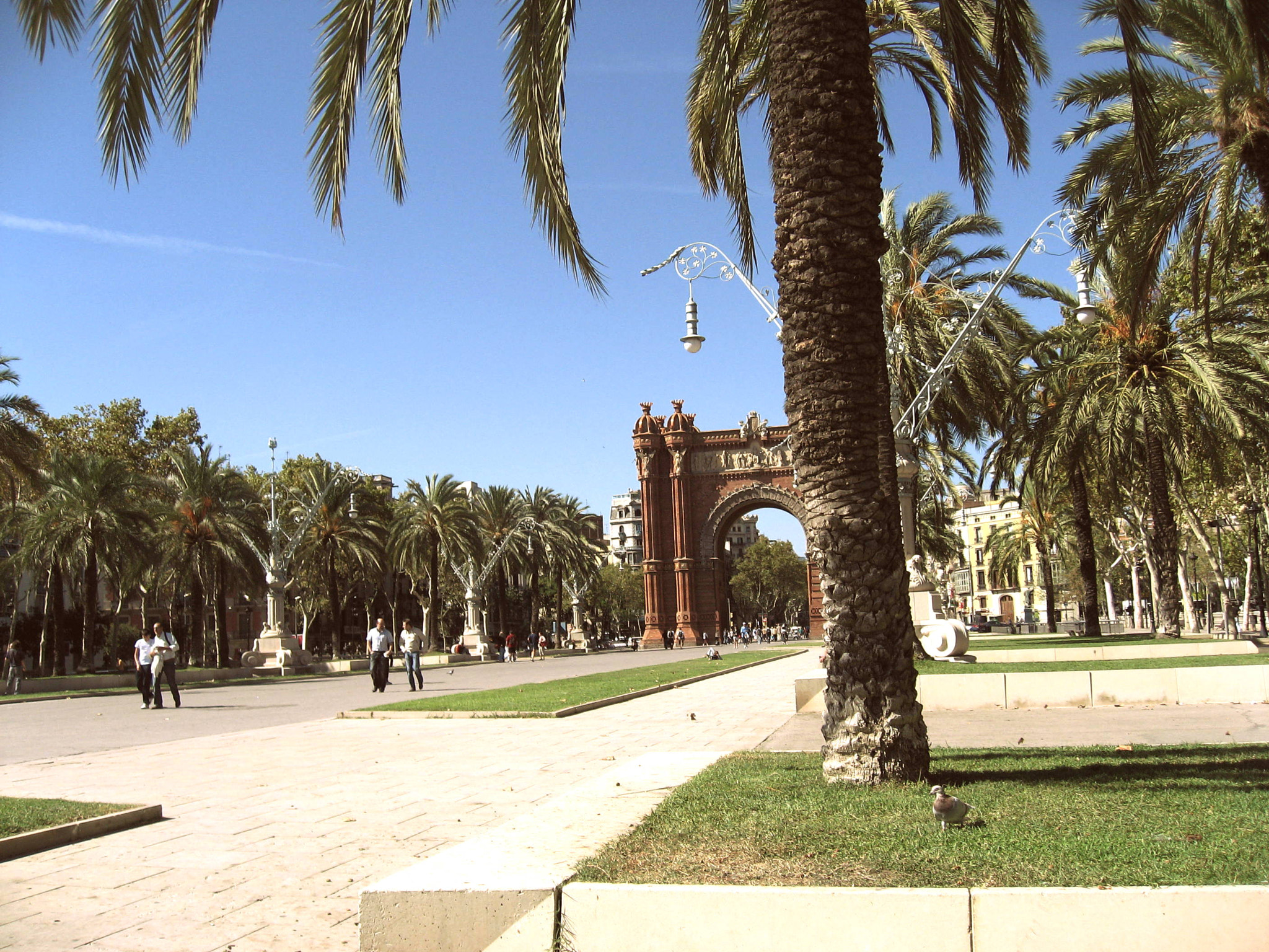 Canon DIGITAL IXUS 800 IS sample photo. Sunny day. pigeon . barcelona photography