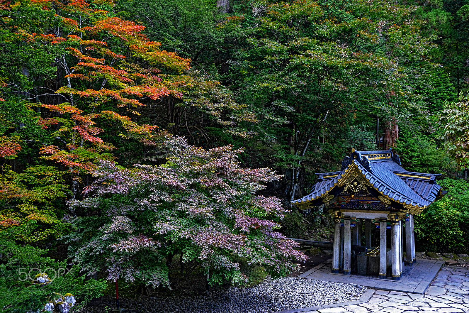 AF Zoom-Nikkor 35-80mm f/4-5.6D sample photo. Futarasan shrine in nikko photography
