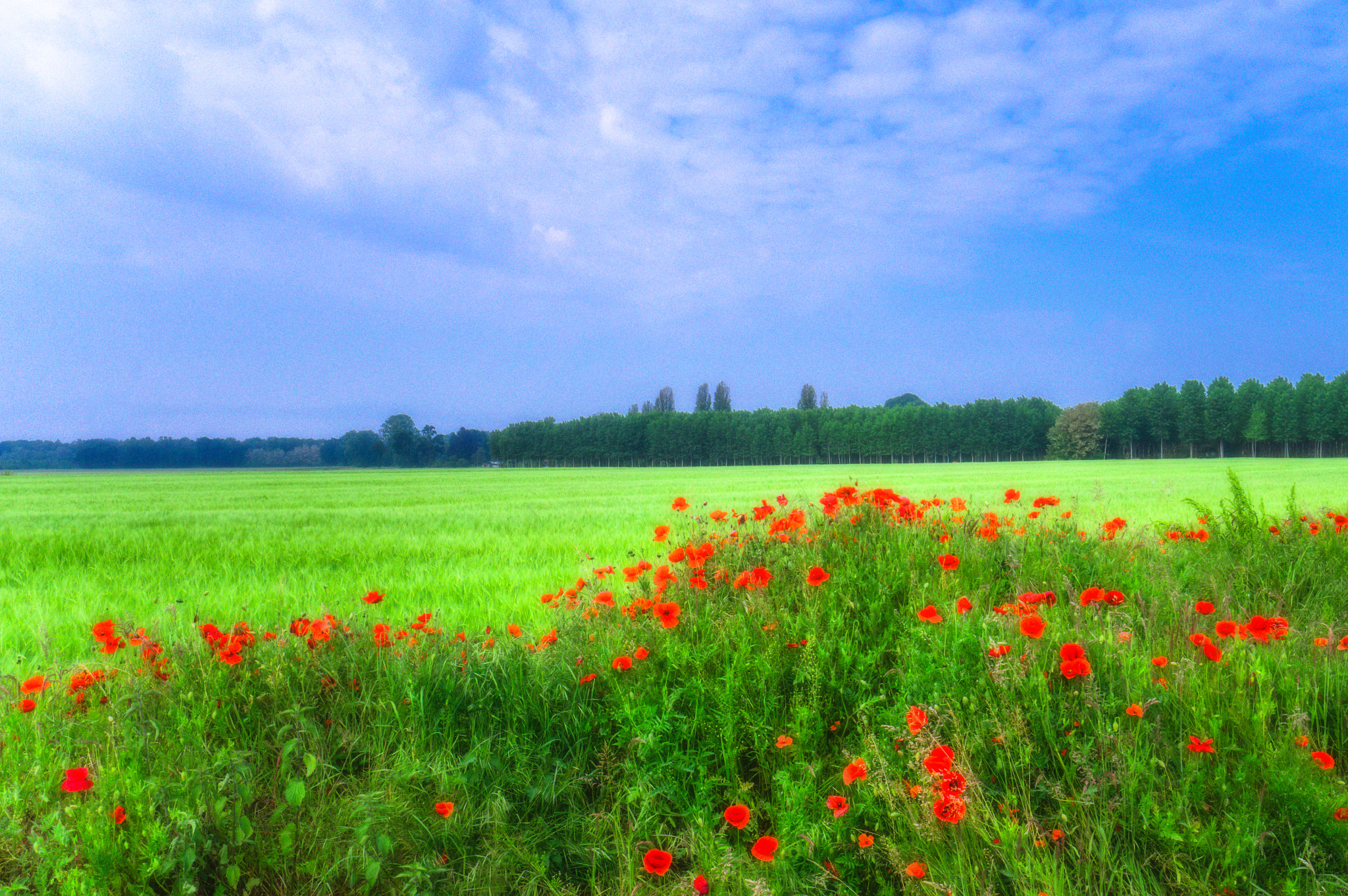 Sony Alpha a5000 (ILCE 5000) + Sony E 10-18mm F4 OSS sample photo. The spring rains come and go photography