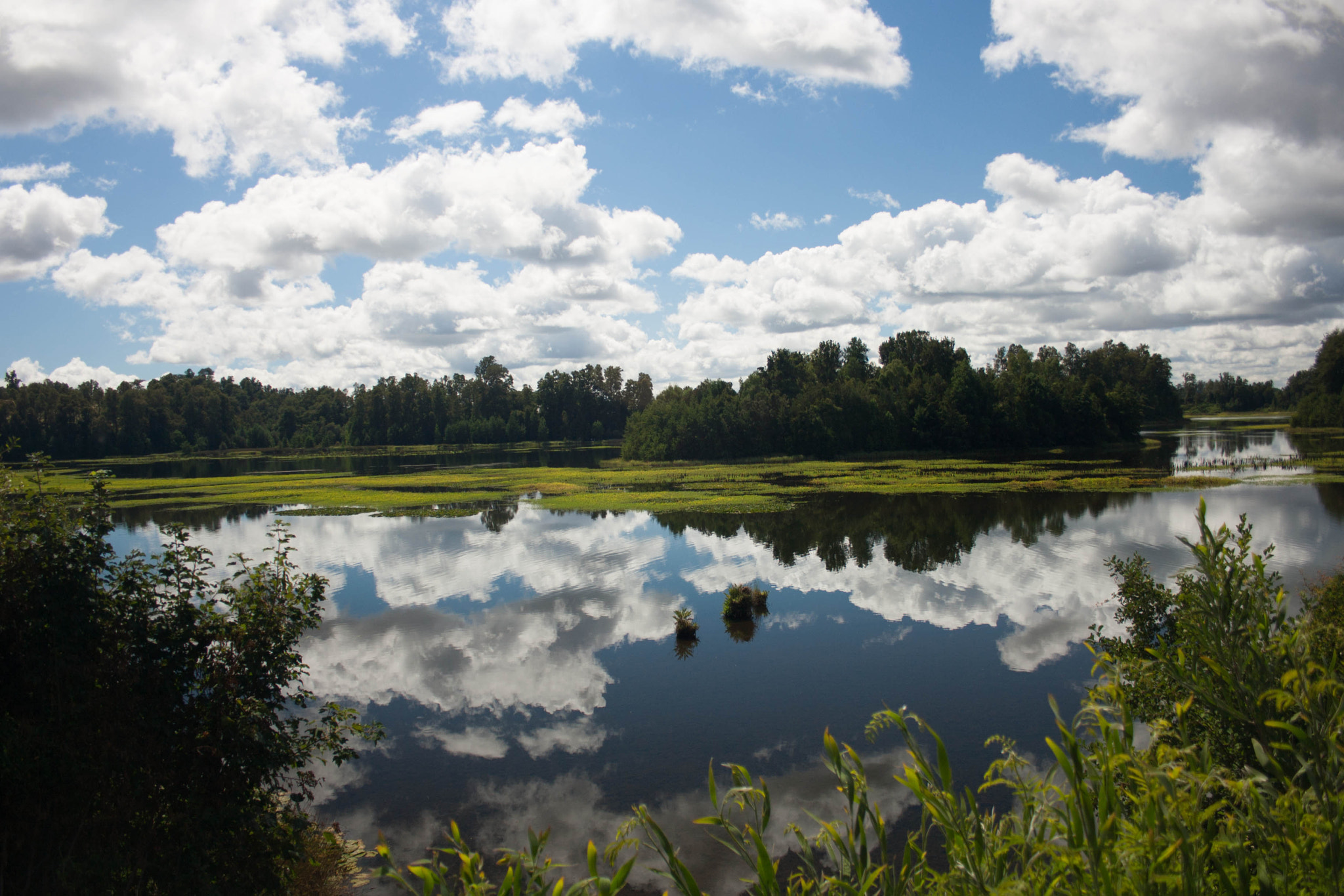 Canon EF-S 18-55mm F3.5-5.6 sample photo. Valdivia photography
