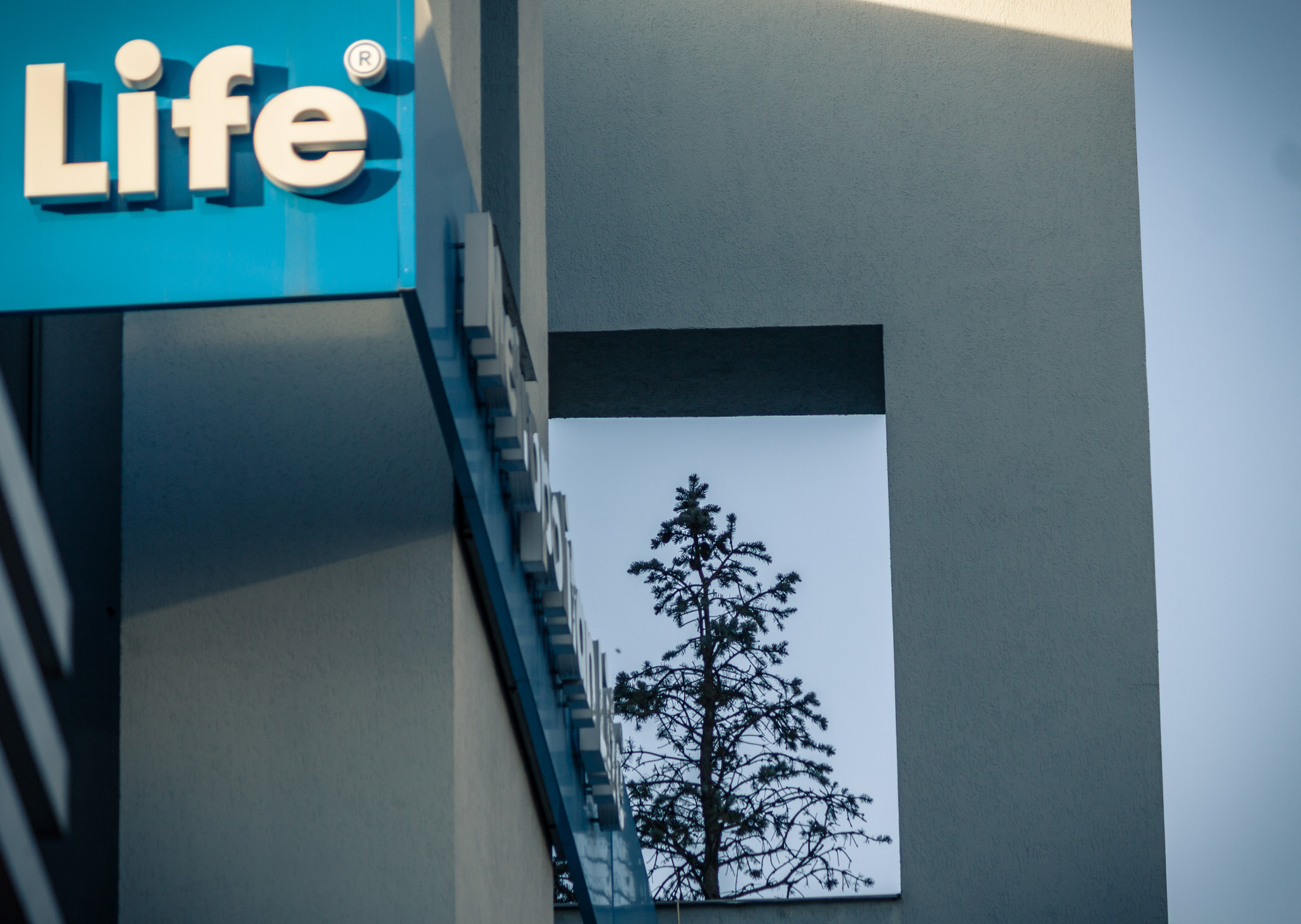 Canon EF-S 55-250mm F4-5.6 IS II sample photo. "life".. photography