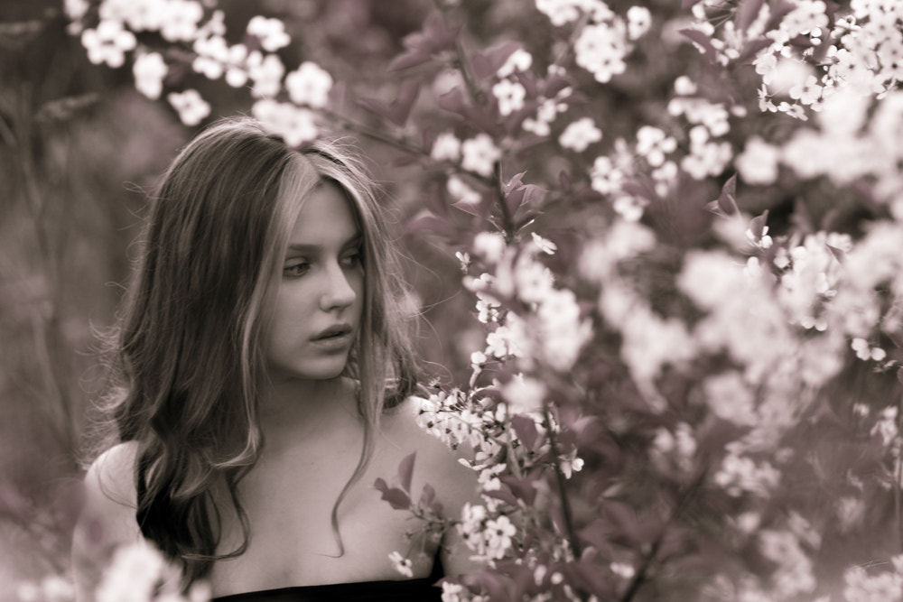 Sony Planar T* 85mm F1.4 ZA sample photo. Лёгкий испуг photography