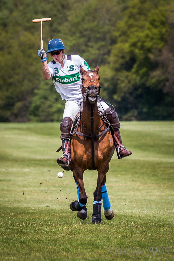Canon EF 100-400mm F4.5-5.6L IS II USM sample photo. Polo match photography