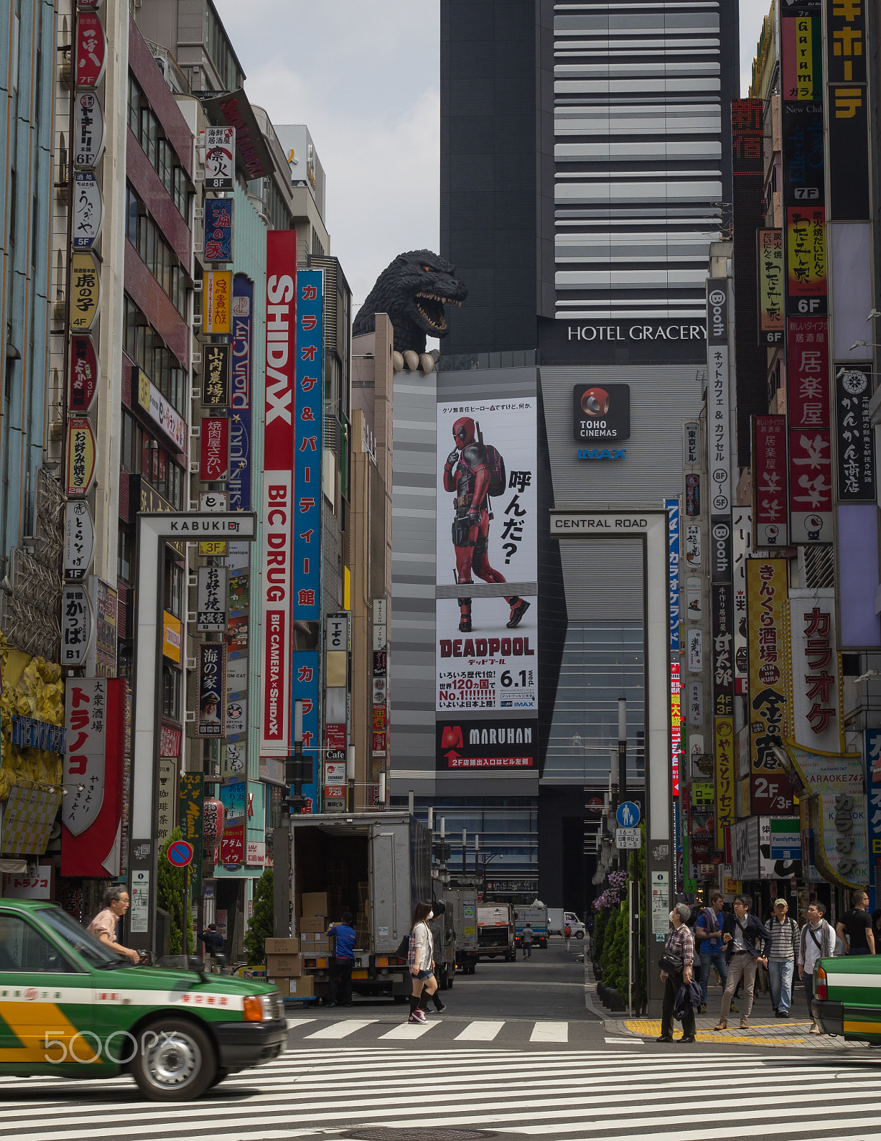 Sigma 17-70mm F2.8-4 DC Macro OS HSM sample photo. Godzilla photography